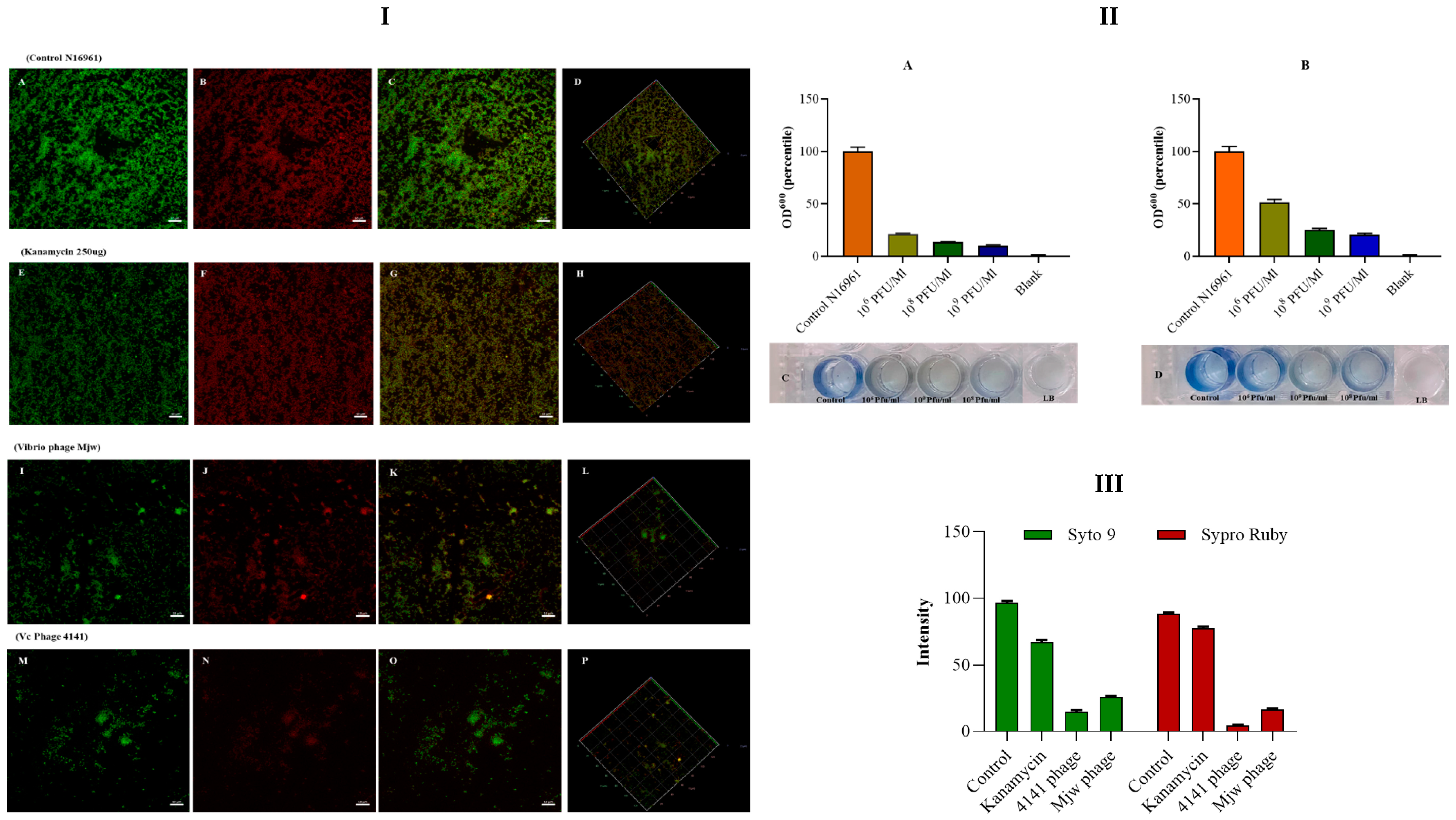 Viruses 16 01741 g004 Viruses 16 01741 g004