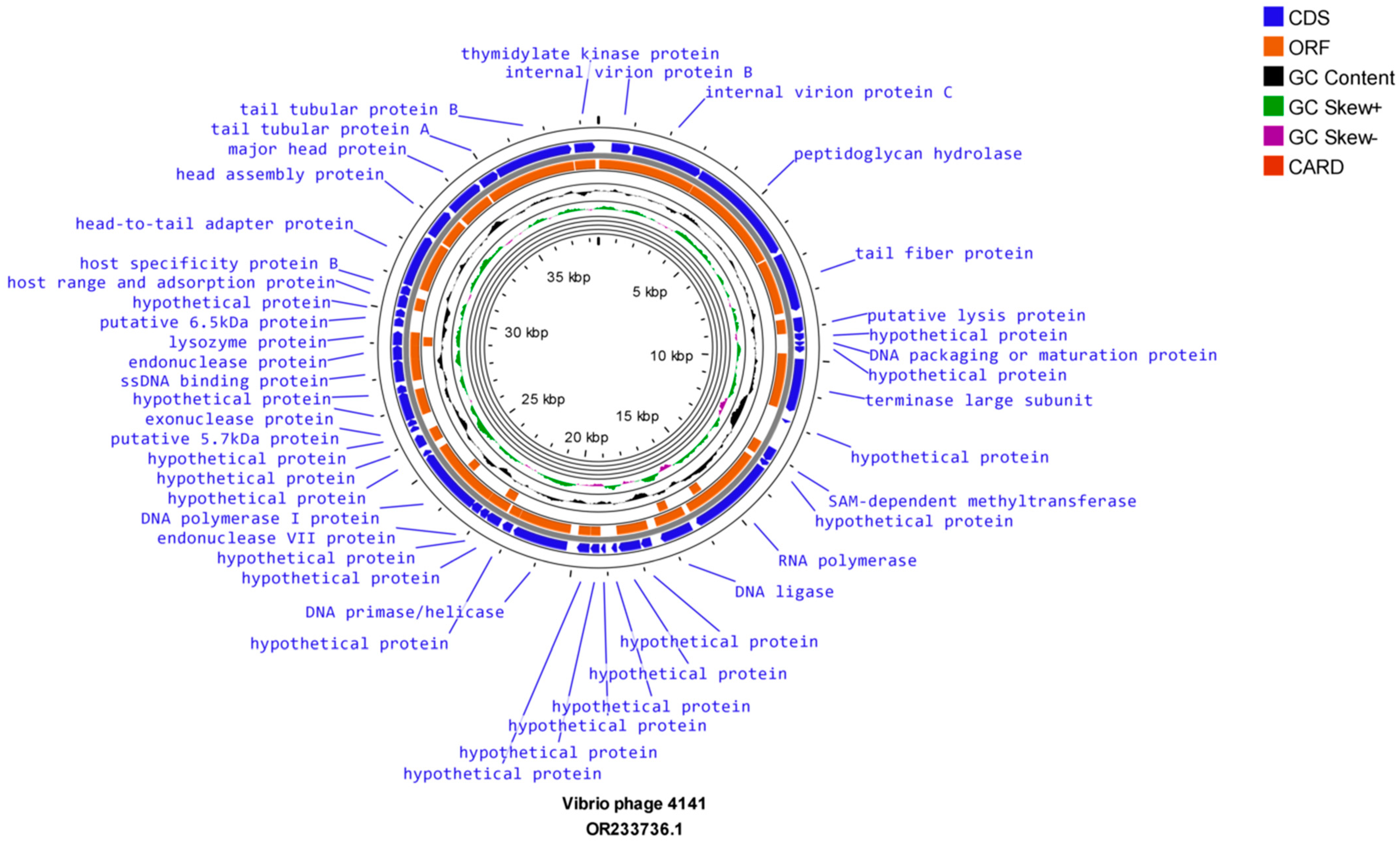 Viruses 16 01741 g005 Viruses 16 01741 g005
