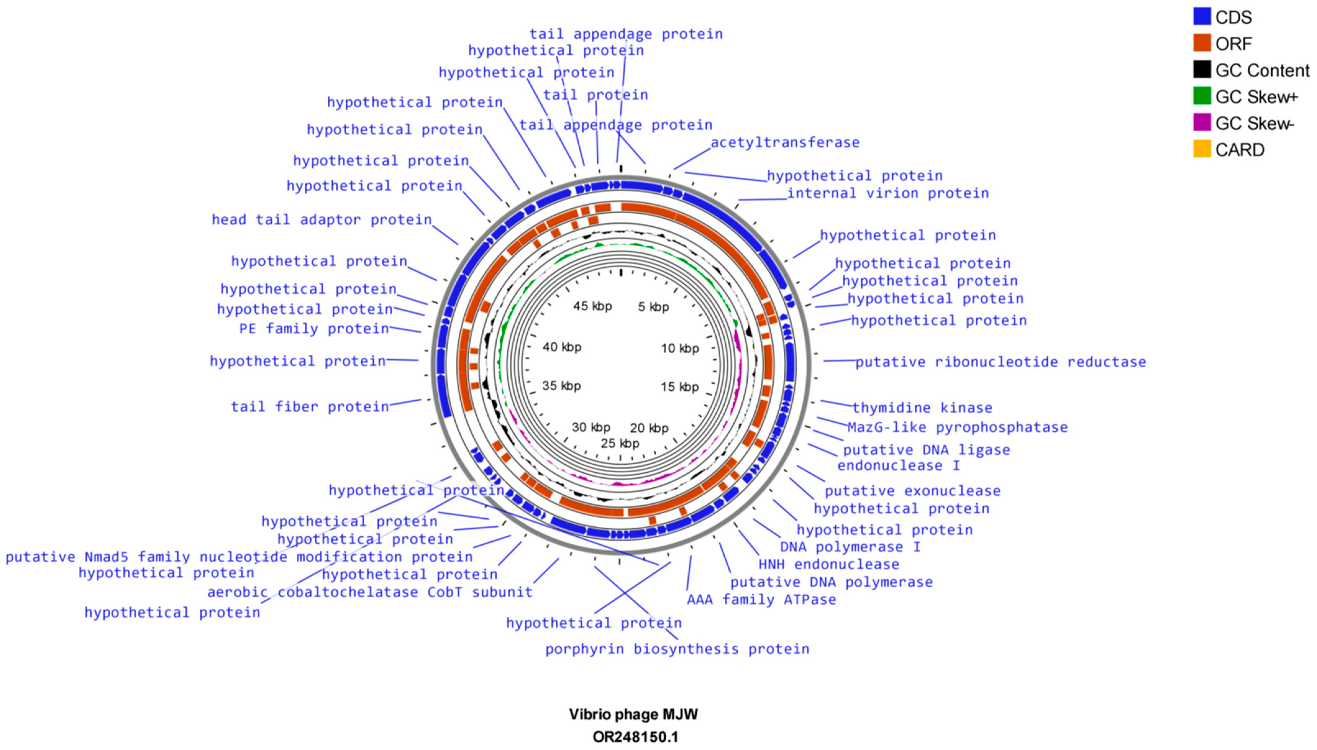 Viruses 16 01741 g006 Viruses 16 01741 g006