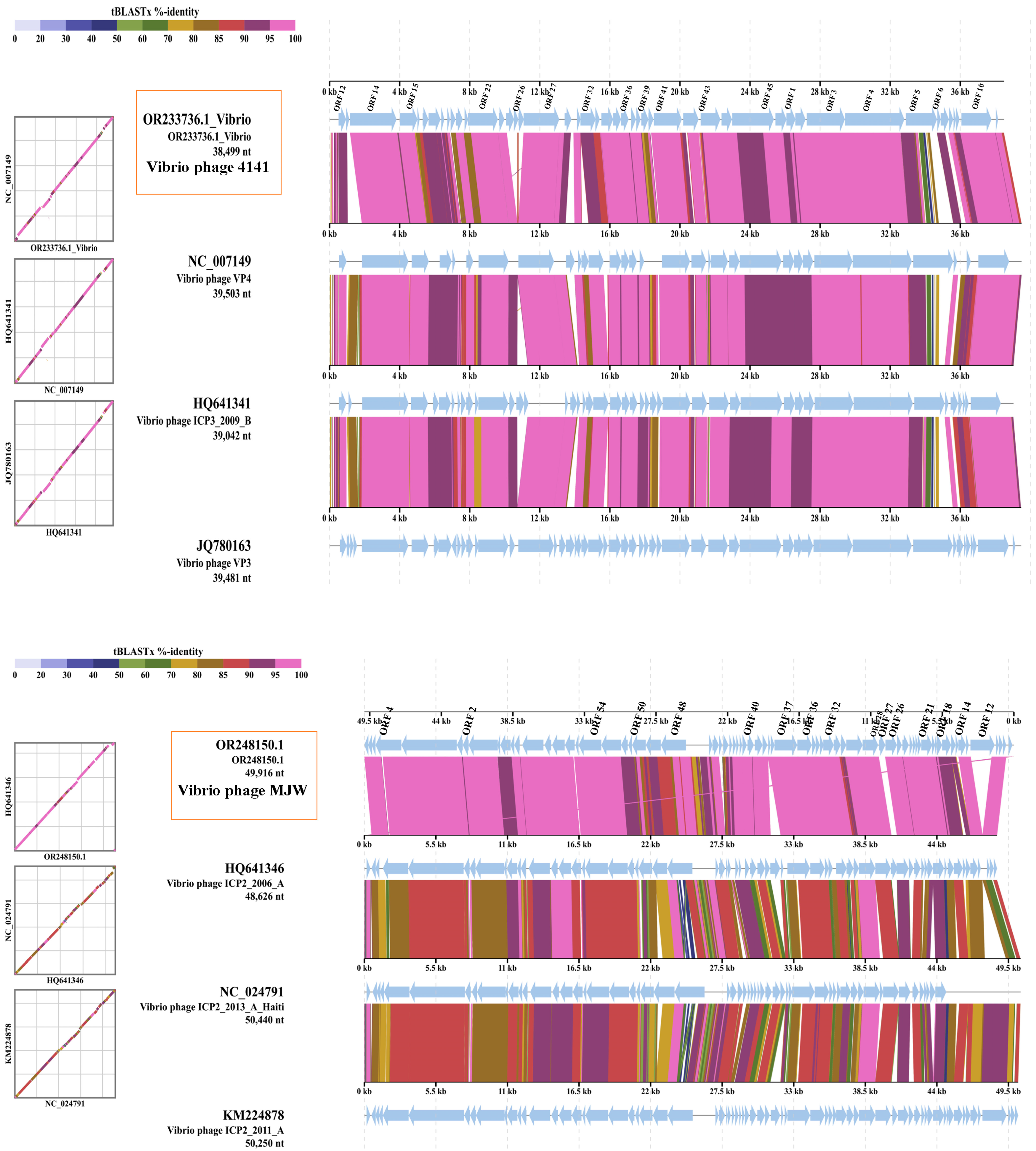 Viruses 16 01741 g007 Viruses 16 01741 g007