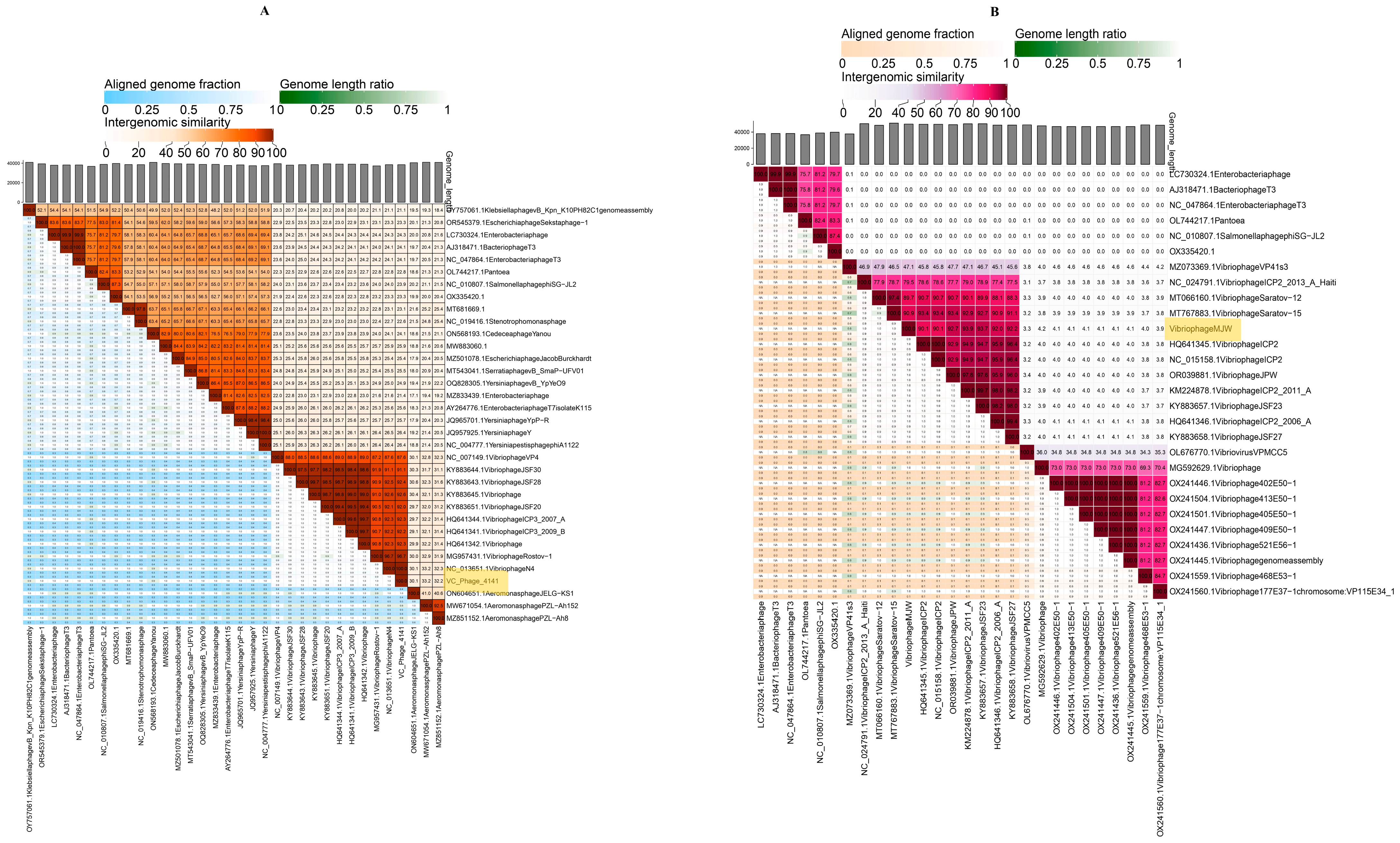 Viruses 16 01741 g008 Viruses 16 01741 g008