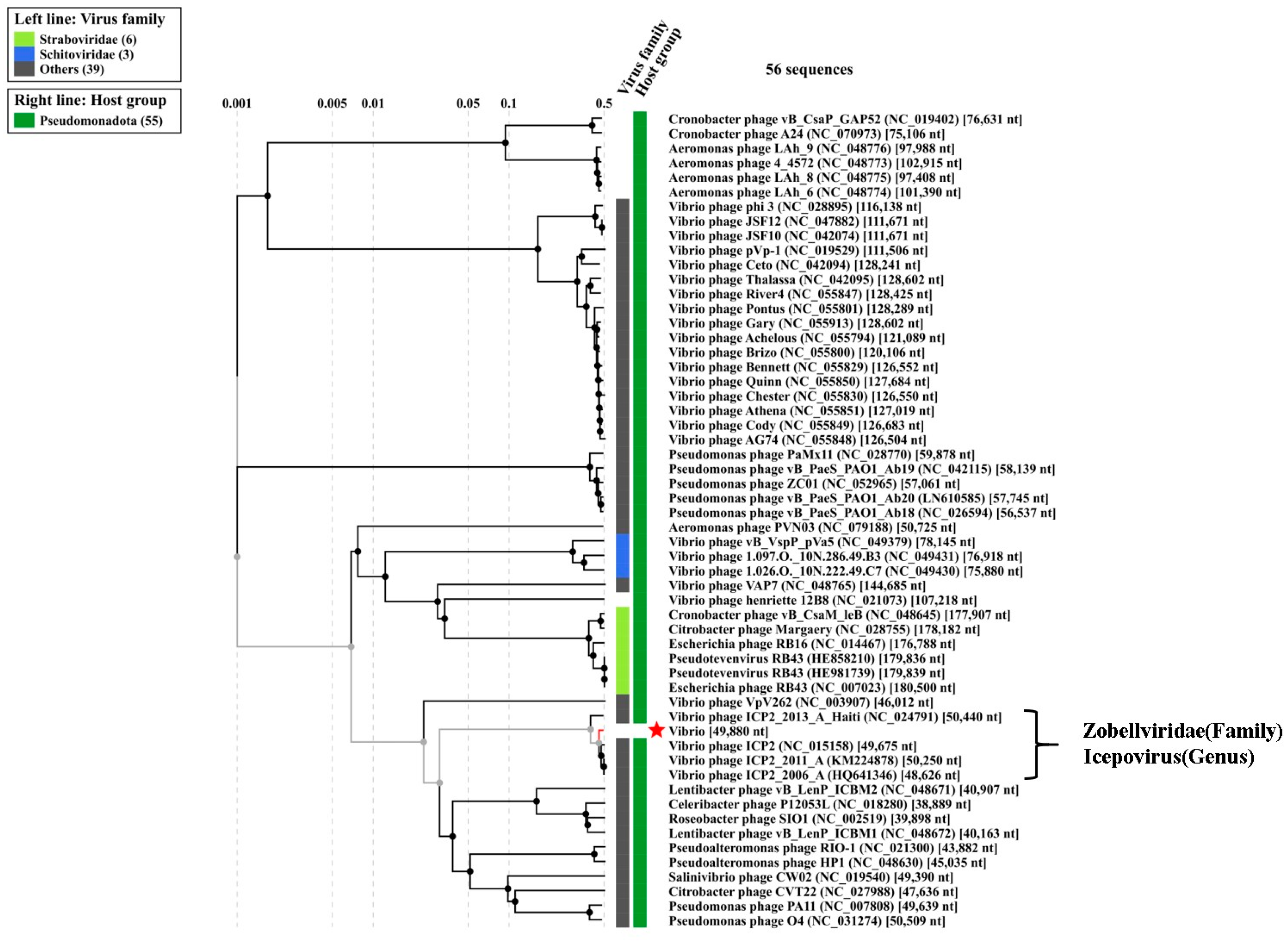 Viruses 16 01741 g010 Viruses 16 01741 g010