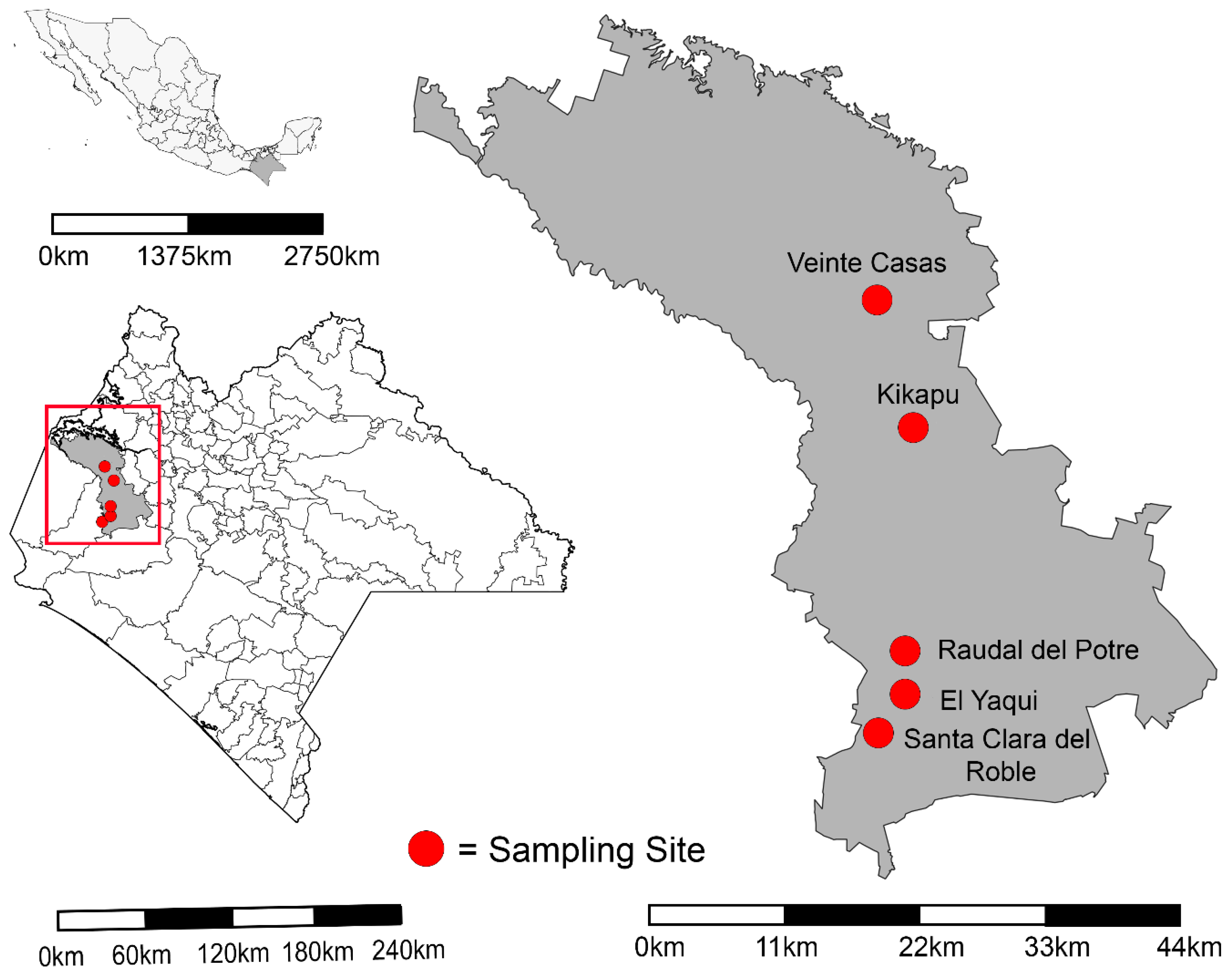 Viruses 16 01742 g001 Viruses 16 01742 g001