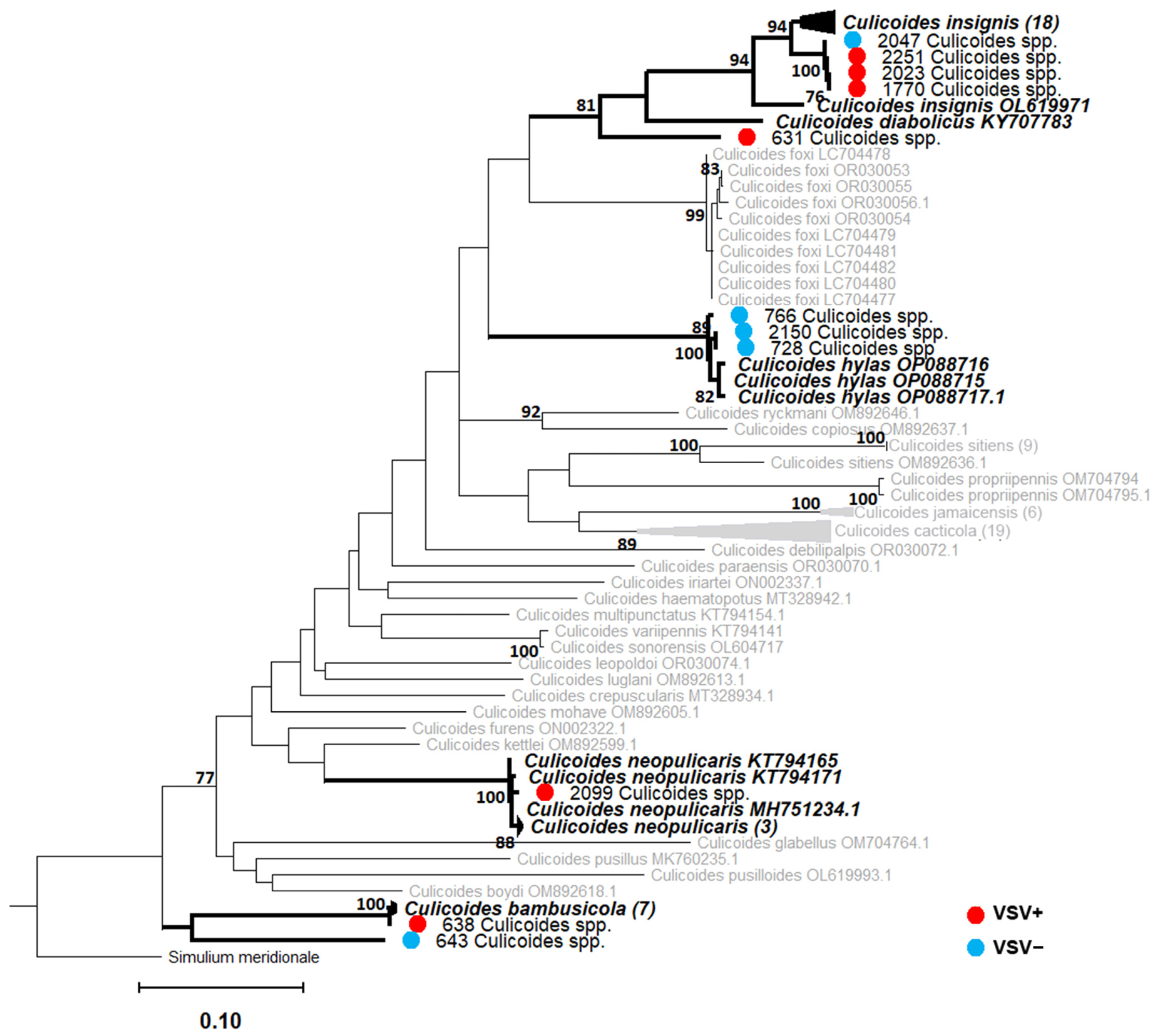Viruses 16 01742 g008 Viruses 16 01742 g008