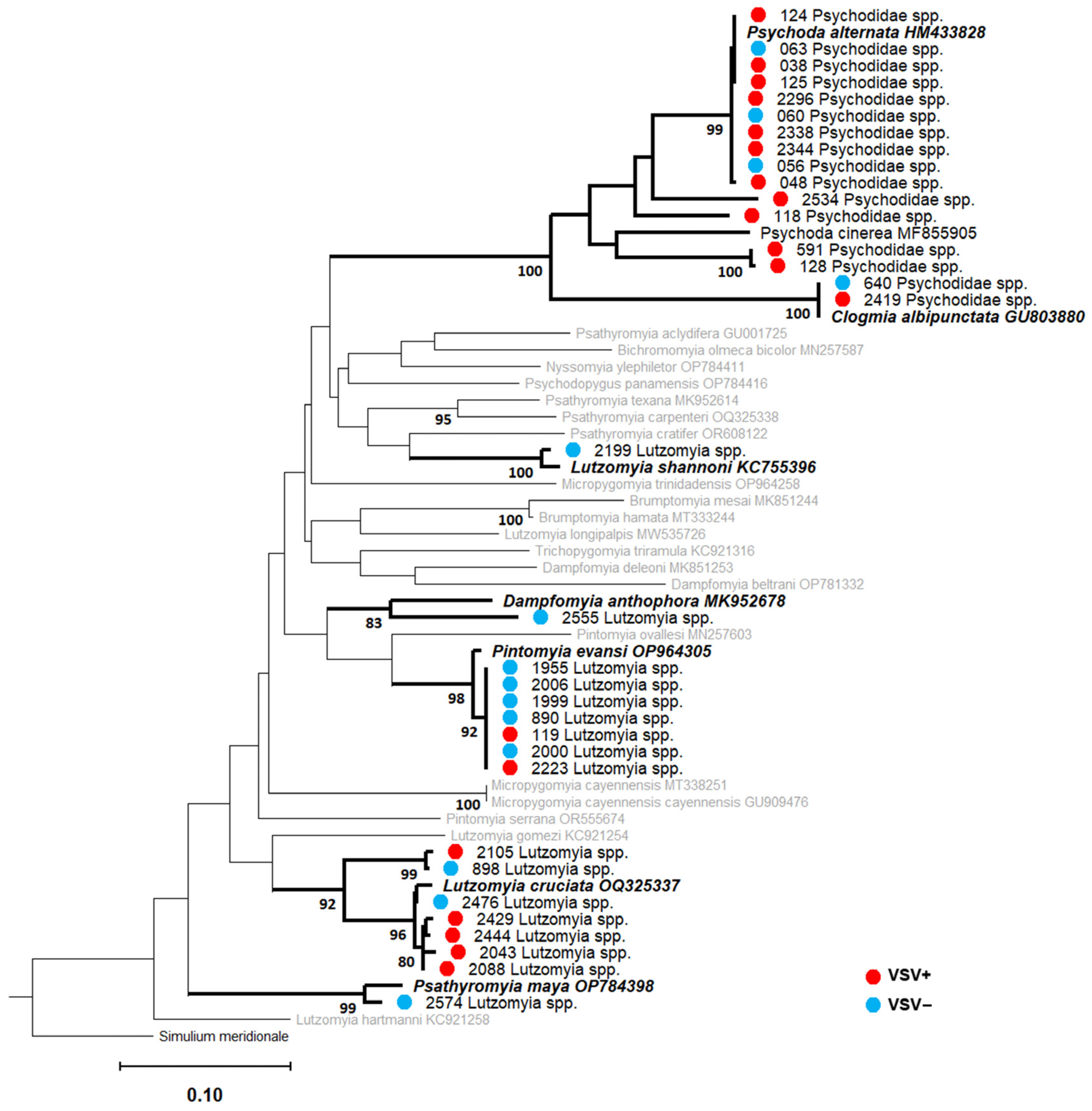 Viruses 16 01742 g009 Viruses 16 01742 g009