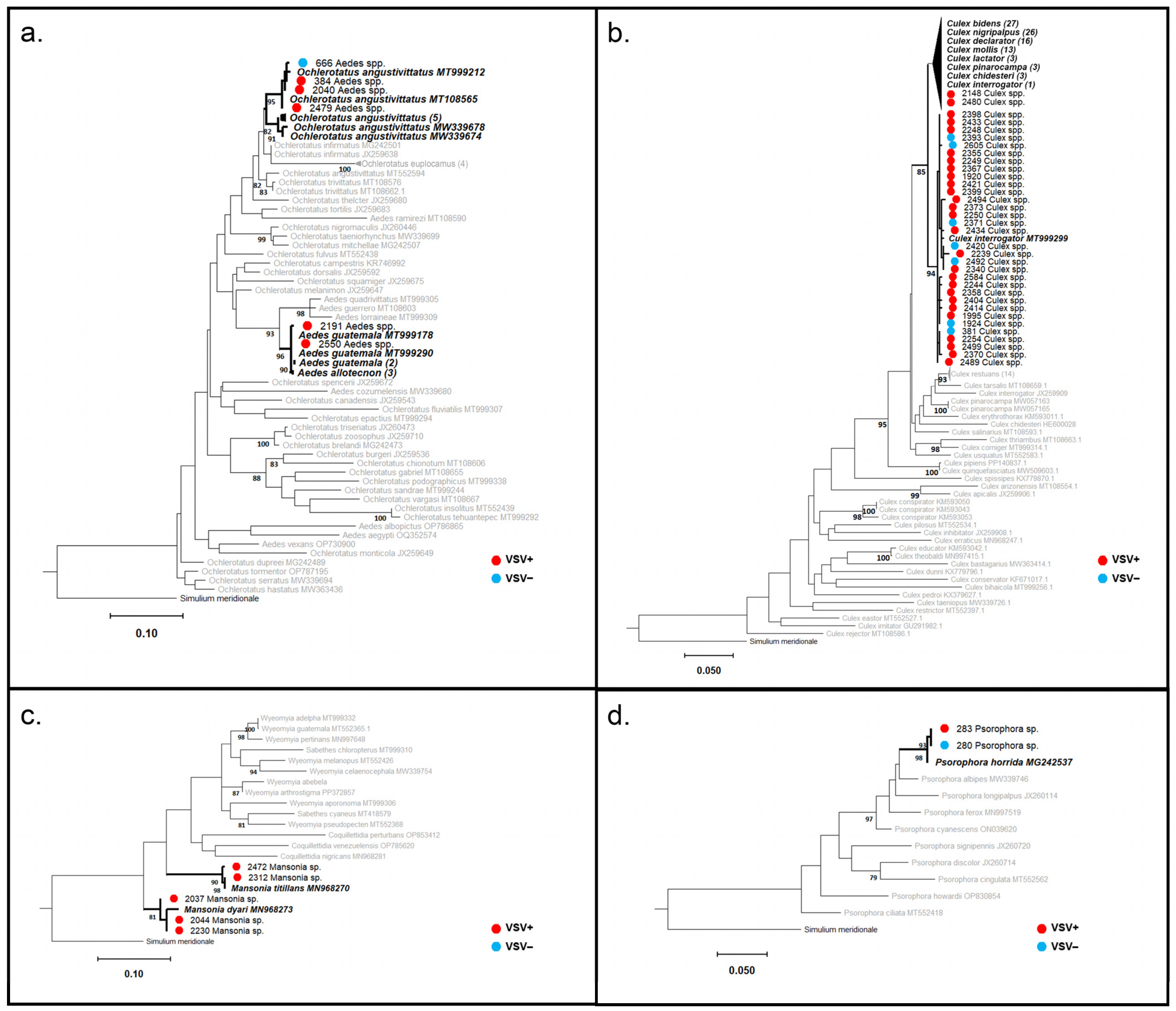 Viruses 16 01742 g010 Viruses 16 01742 g010
