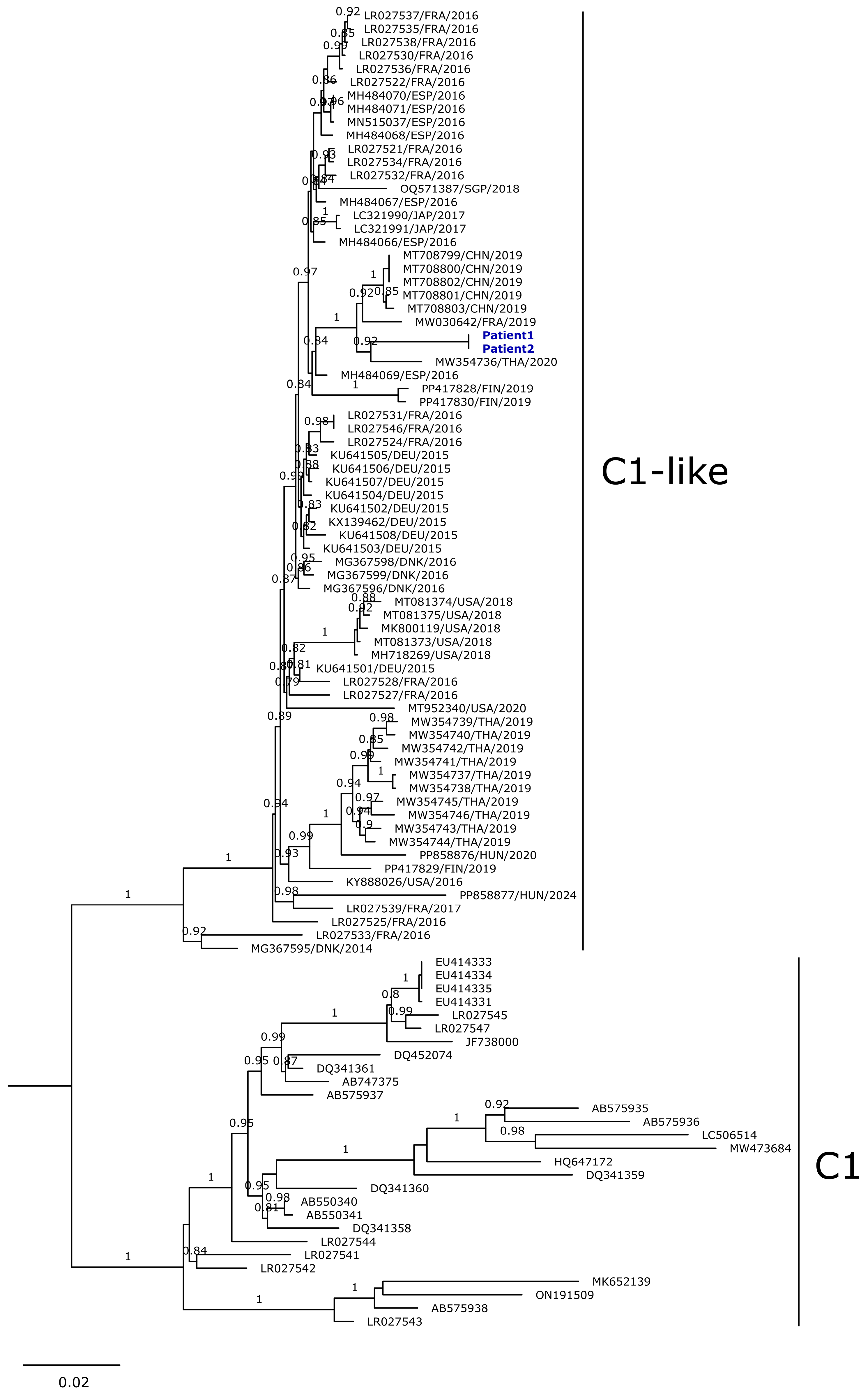 Viruses 16 01752 g001