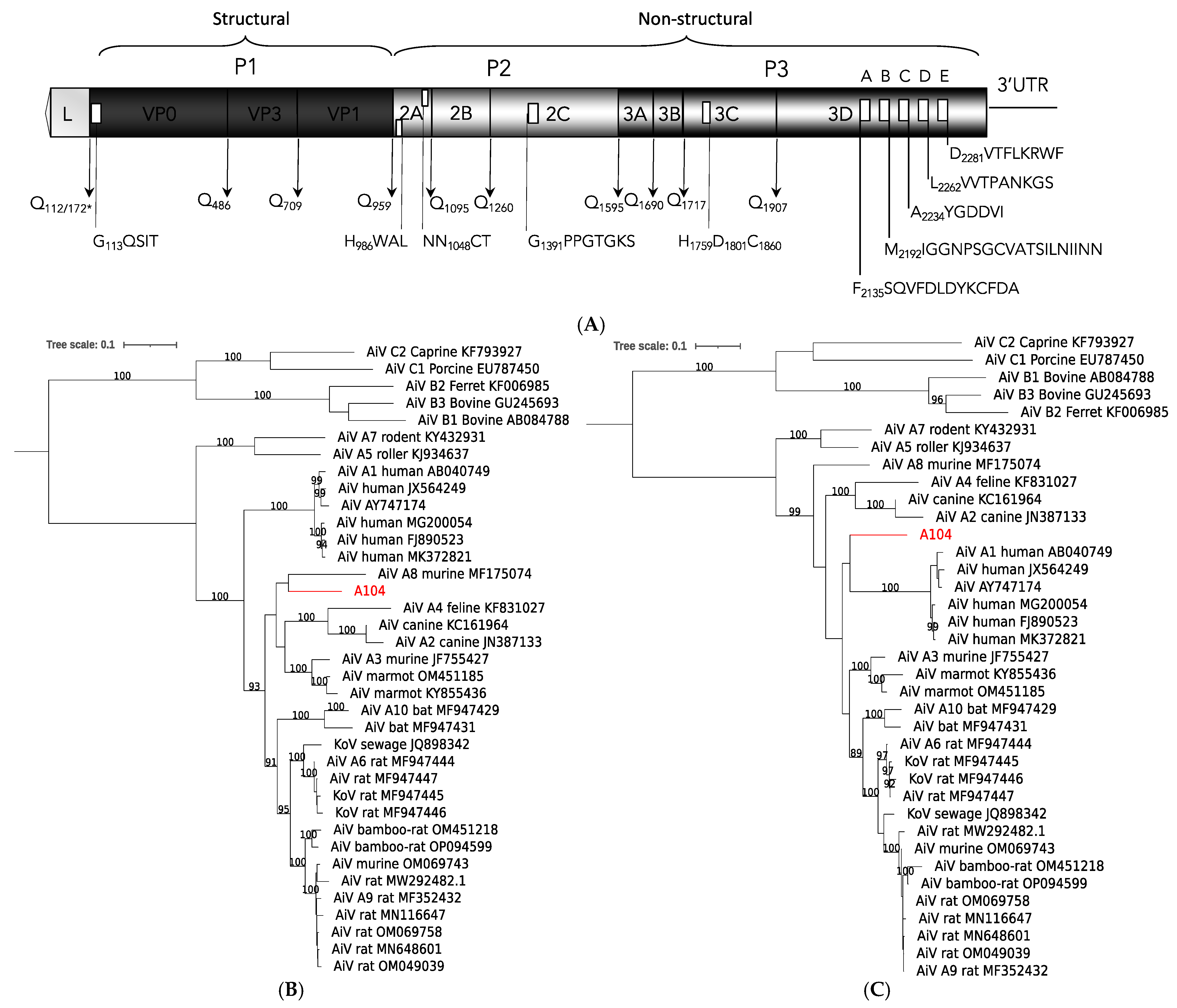 Viruses 16 01754 g004