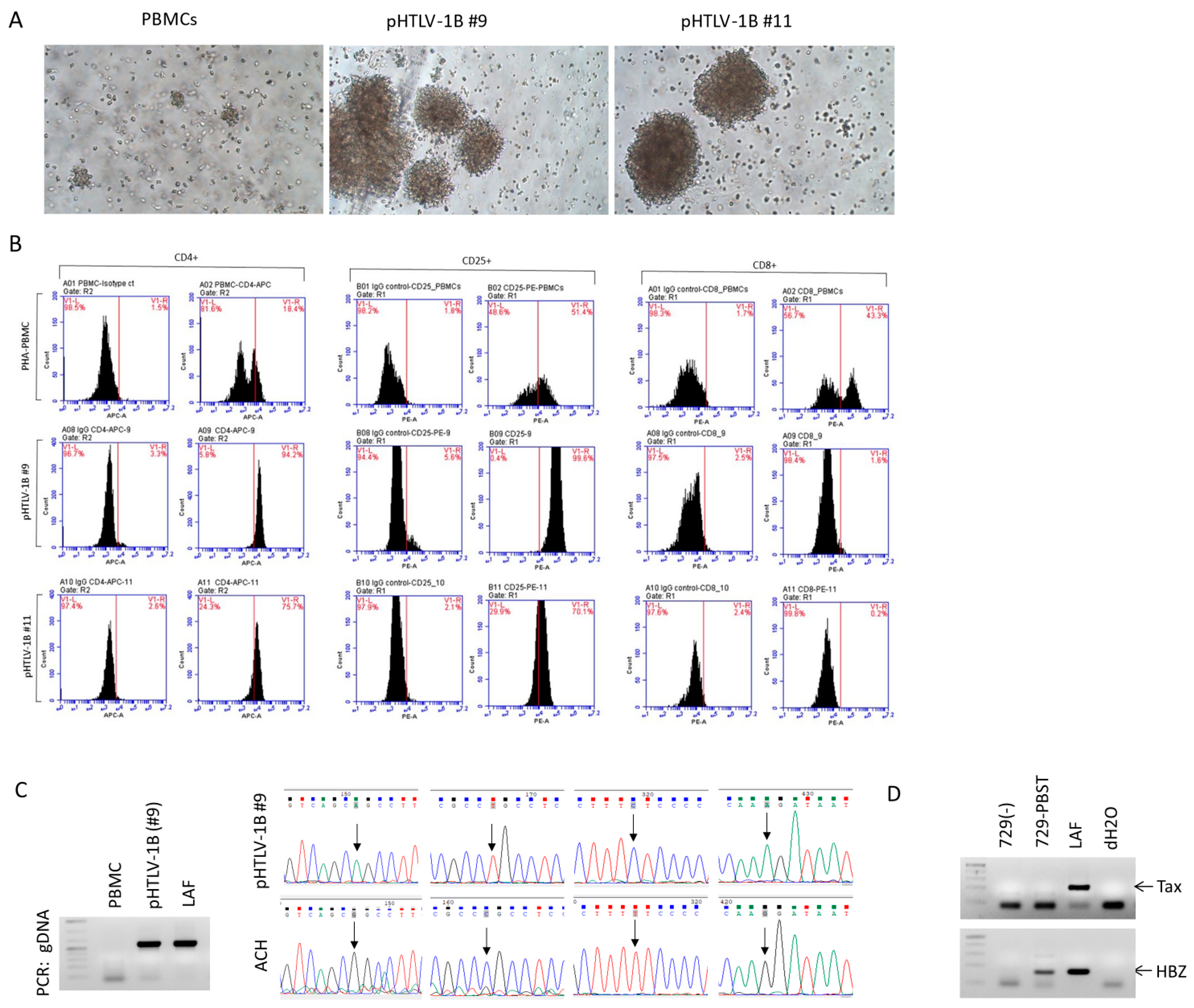 Viruses 16 01755 g005