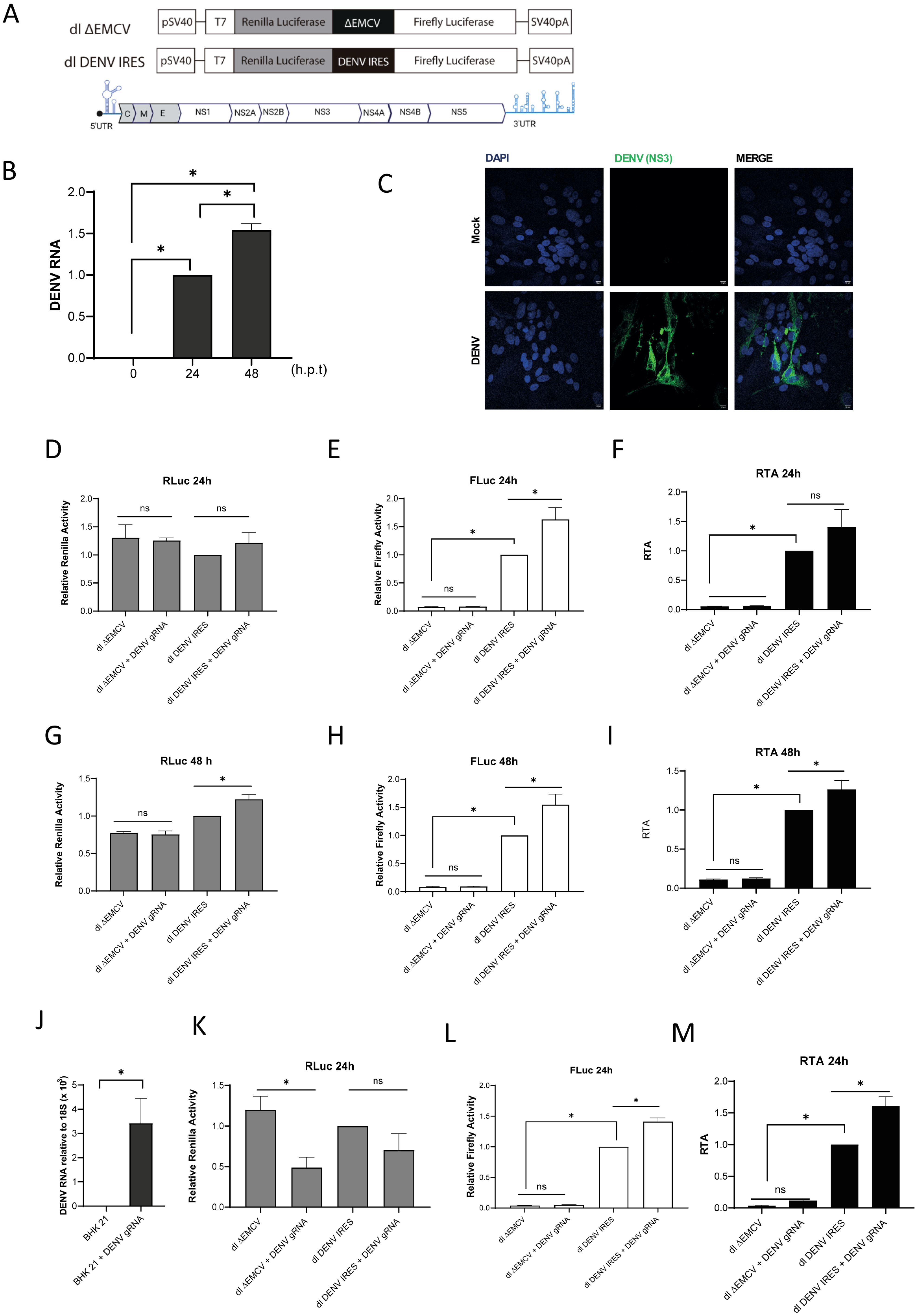 Viruses 16 01757 g002