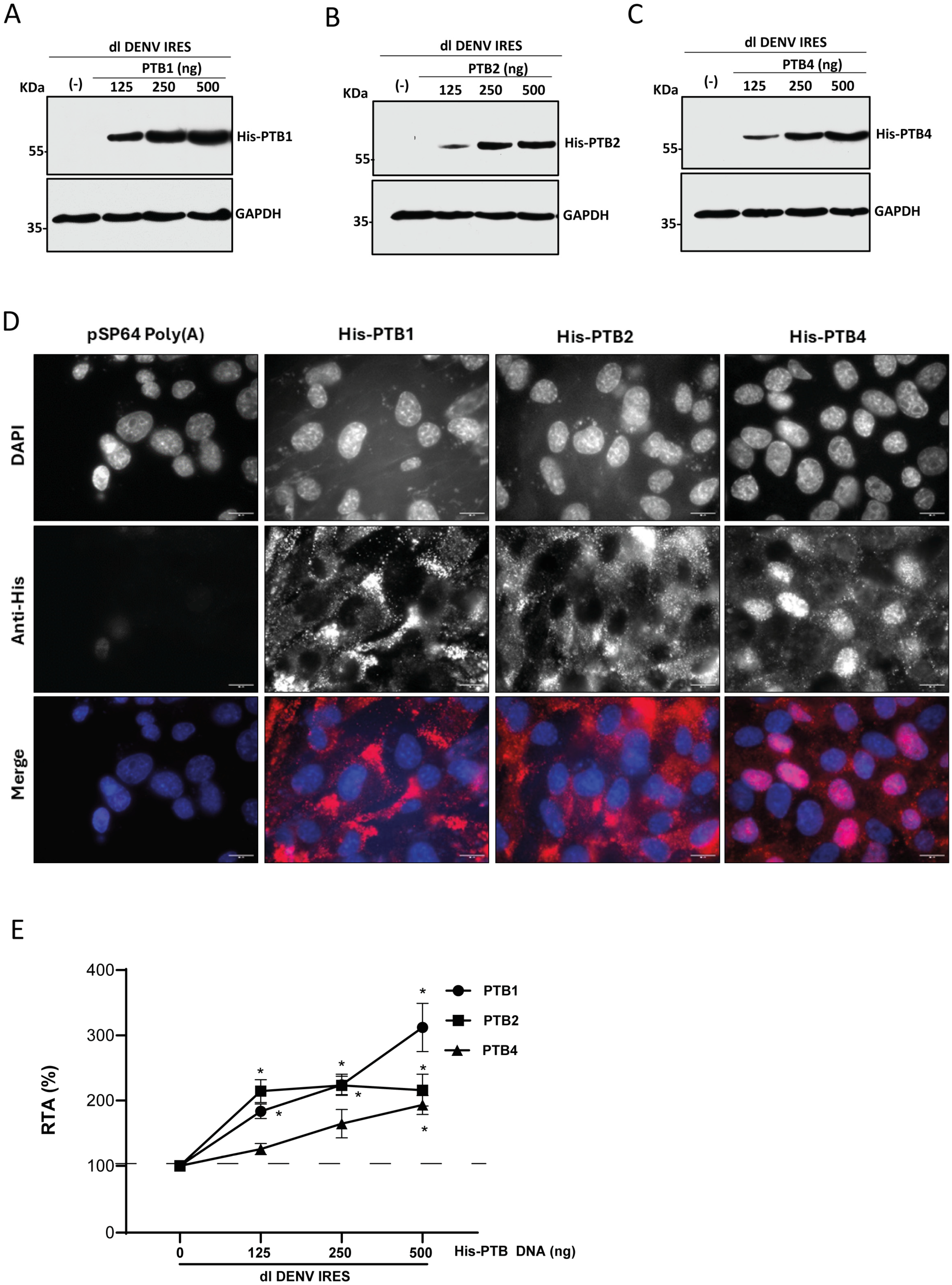 Viruses 16 01757 g005