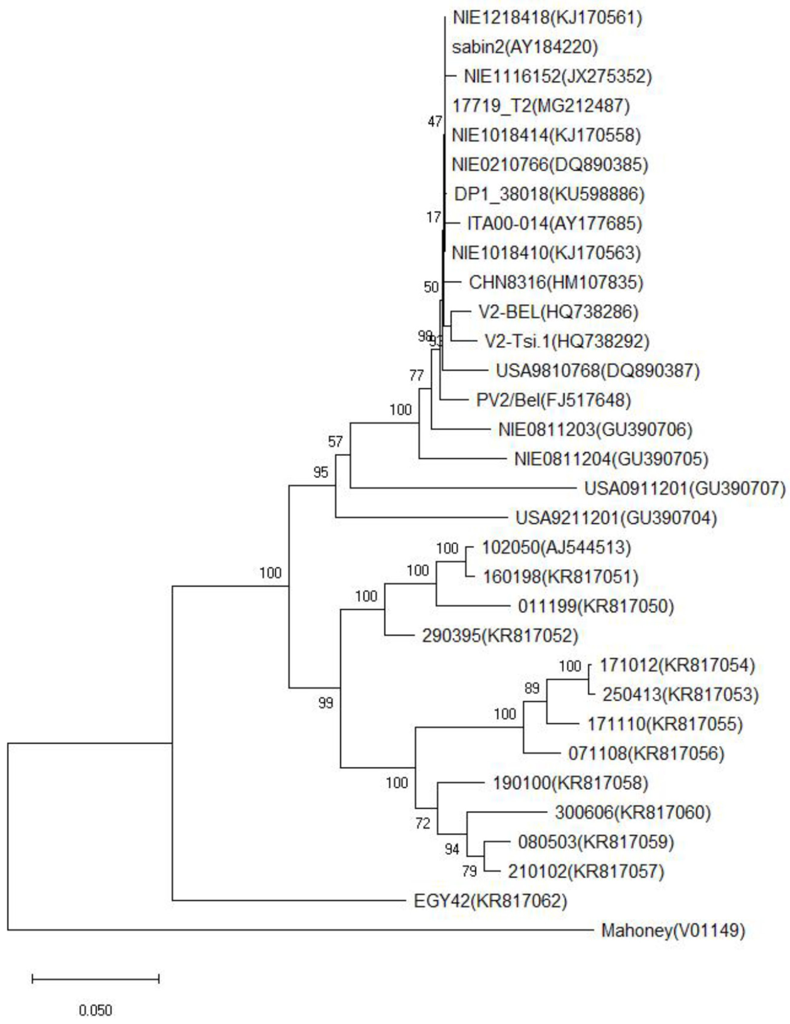 Viruses 16 01761 g003
