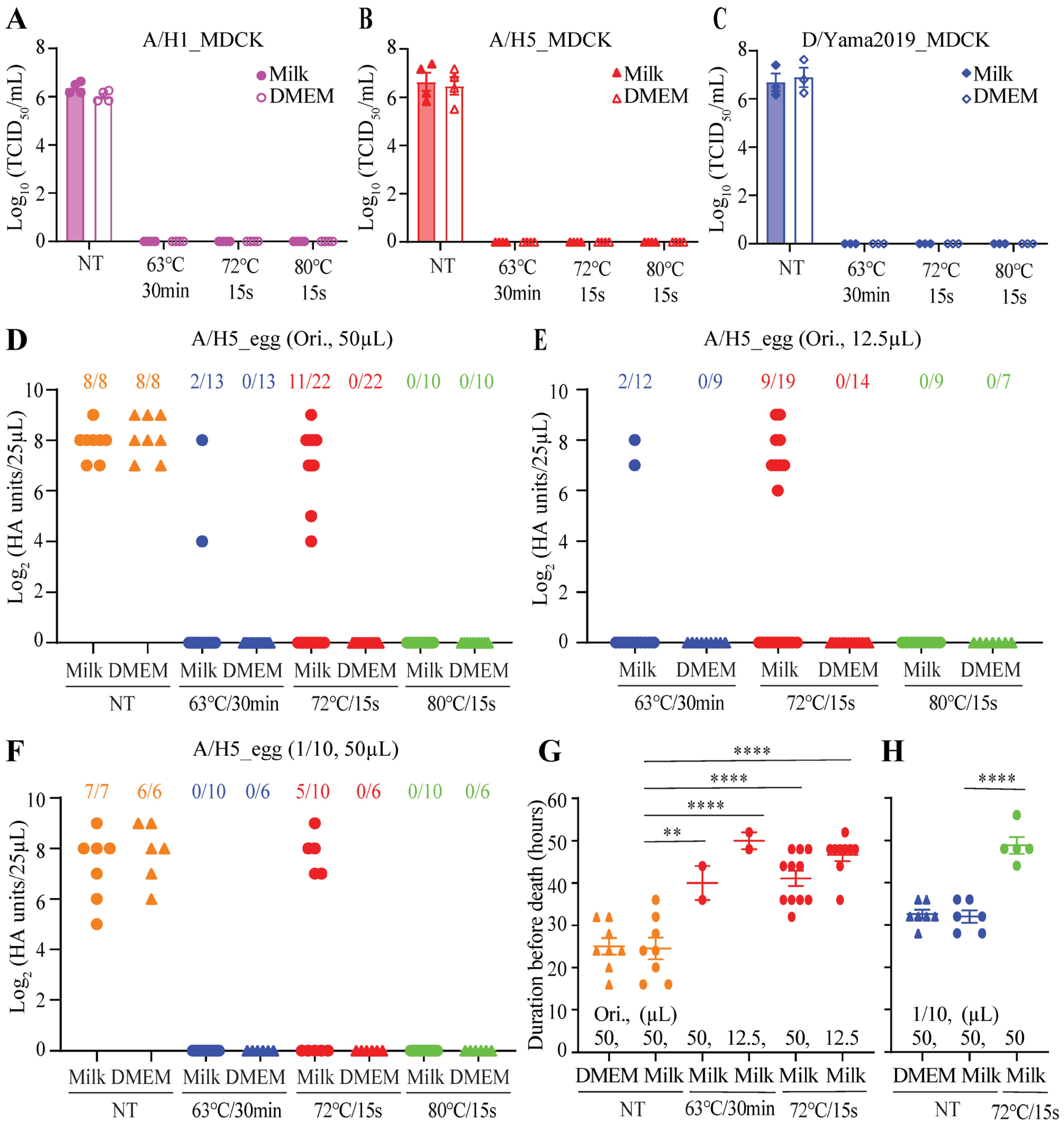Viruses 16 01766 g002