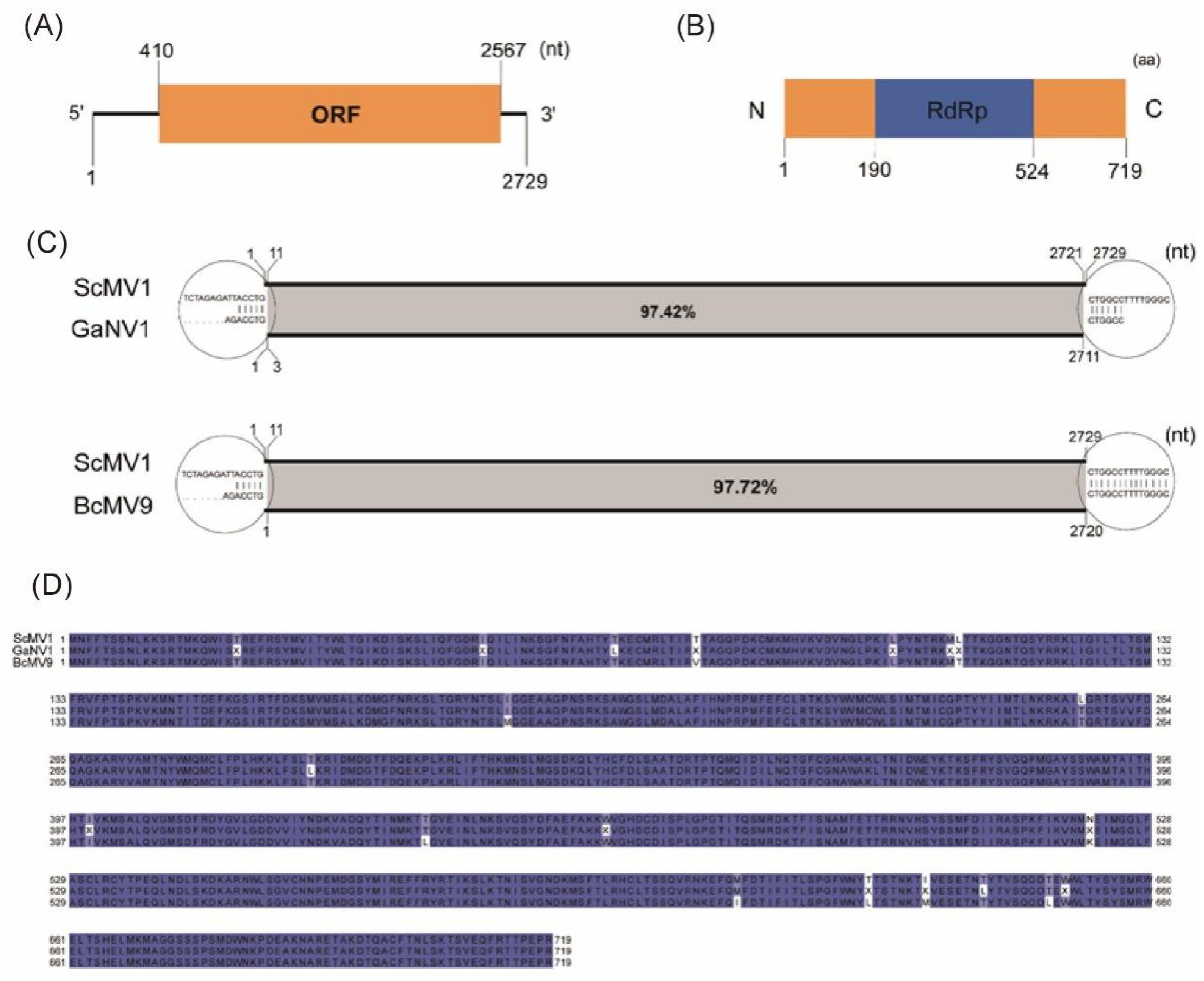 Viruses 16 01767 g007