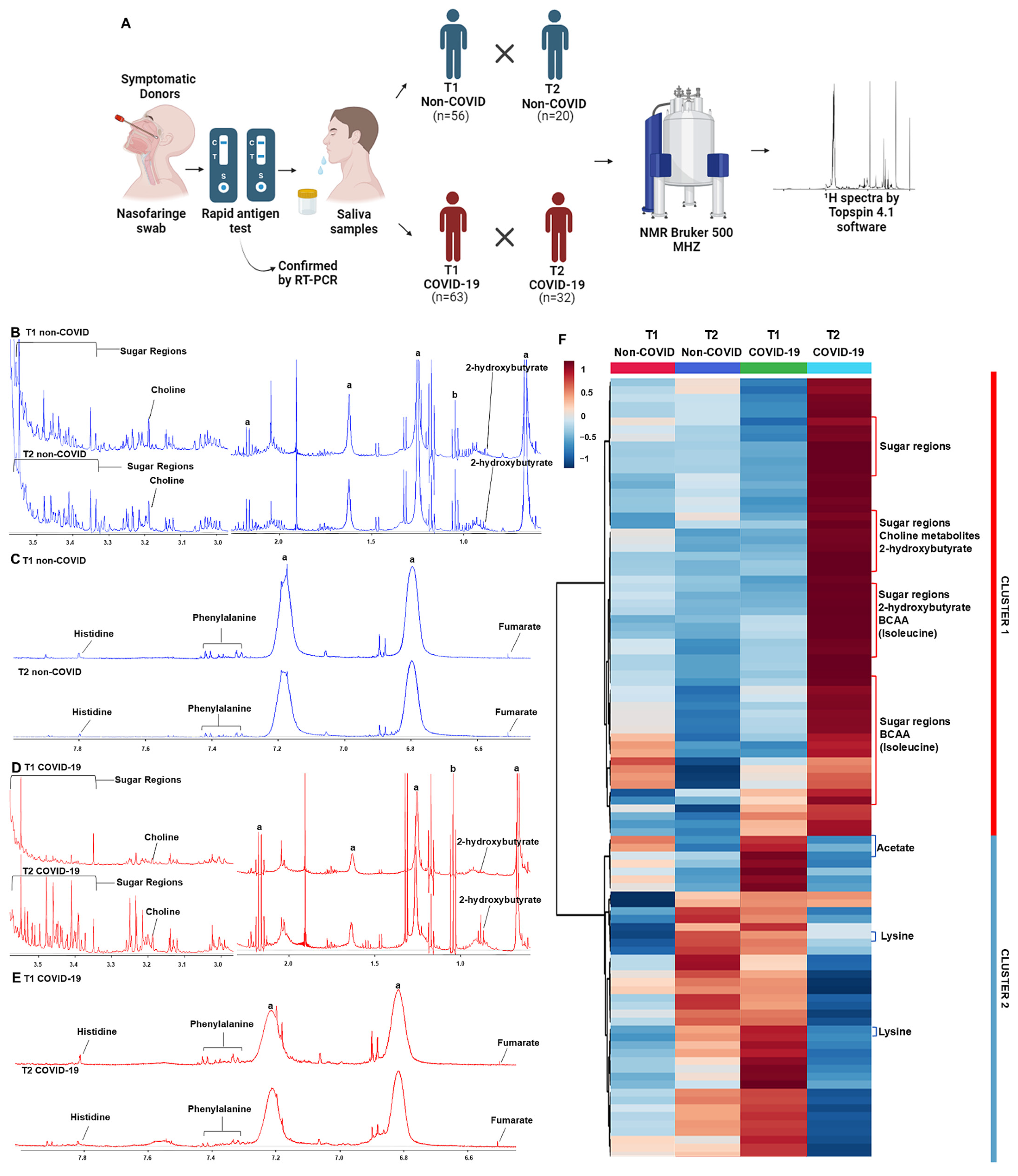 Viruses 16 01769 g001