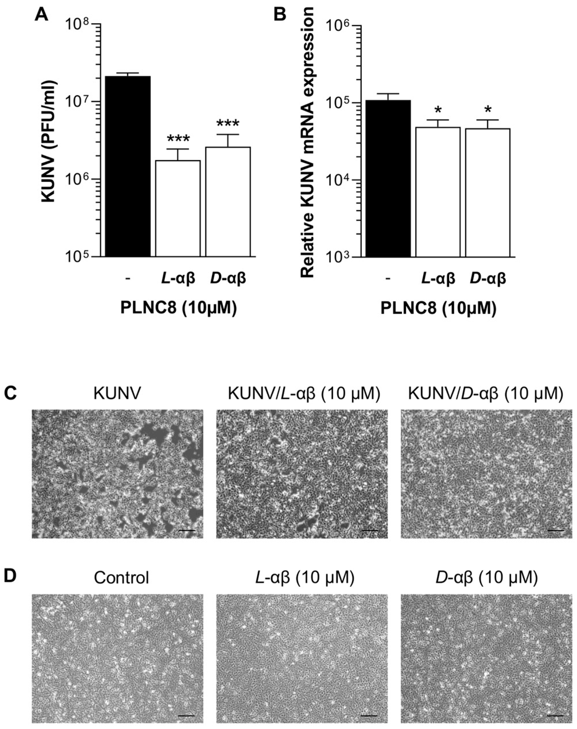 Viruses 16 01770 g002