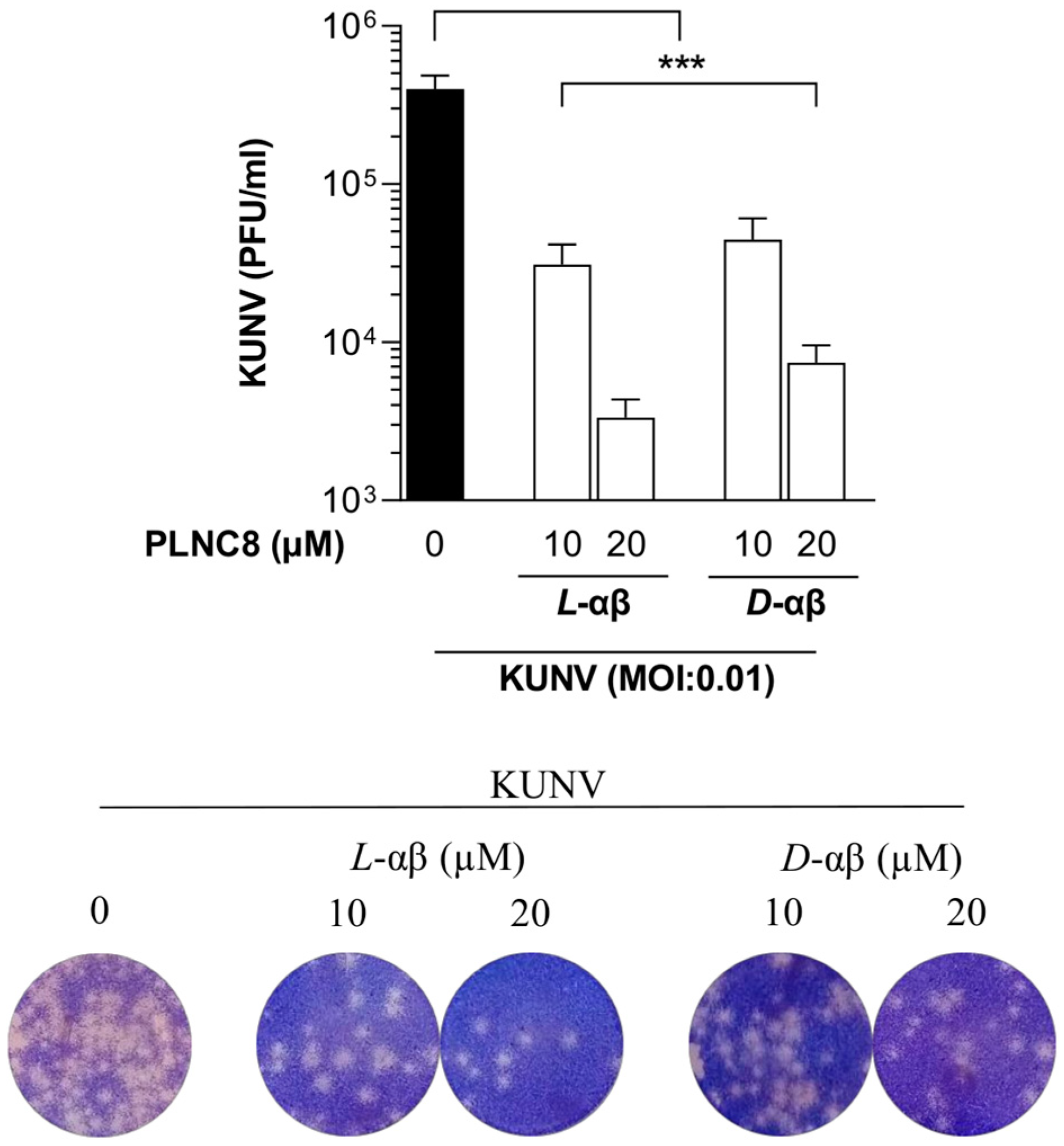 Viruses 16 01770 g004