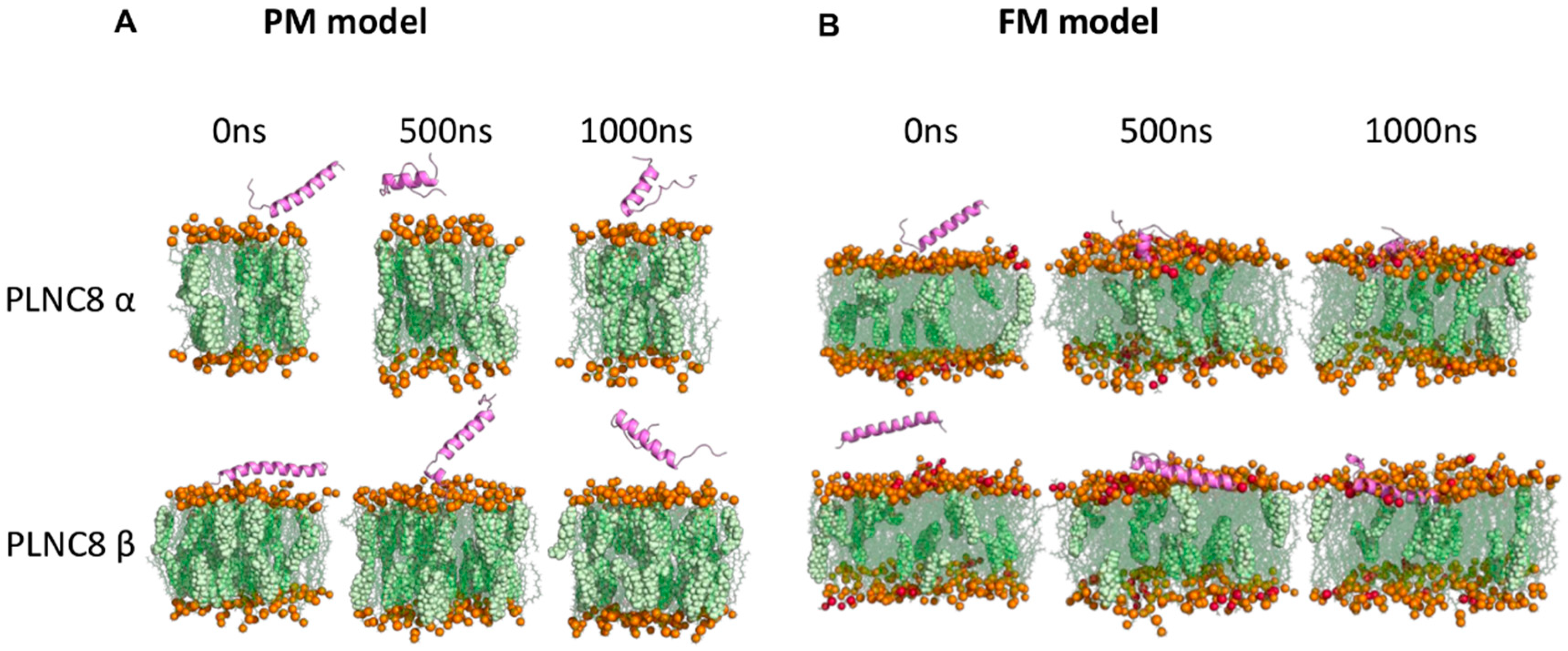 Viruses 16 01770 g006