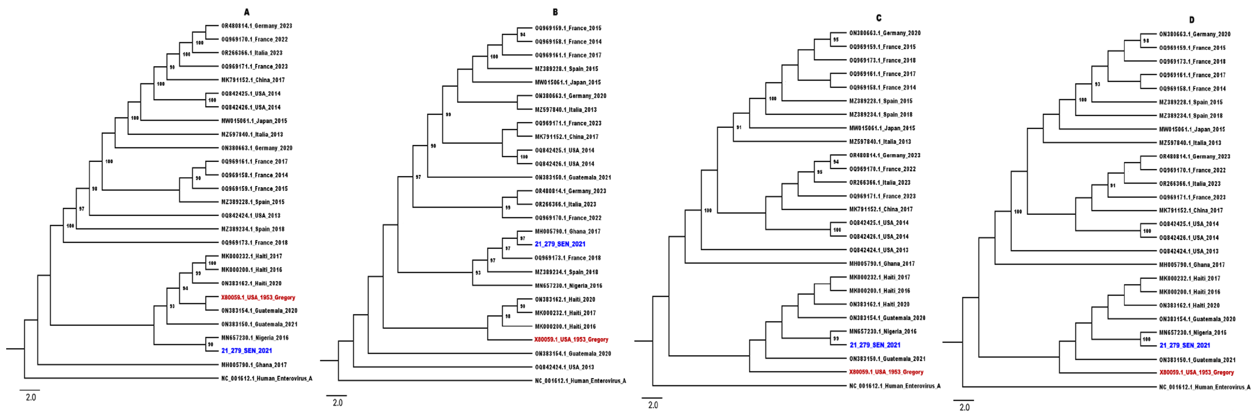 Viruses 16 01772 g001