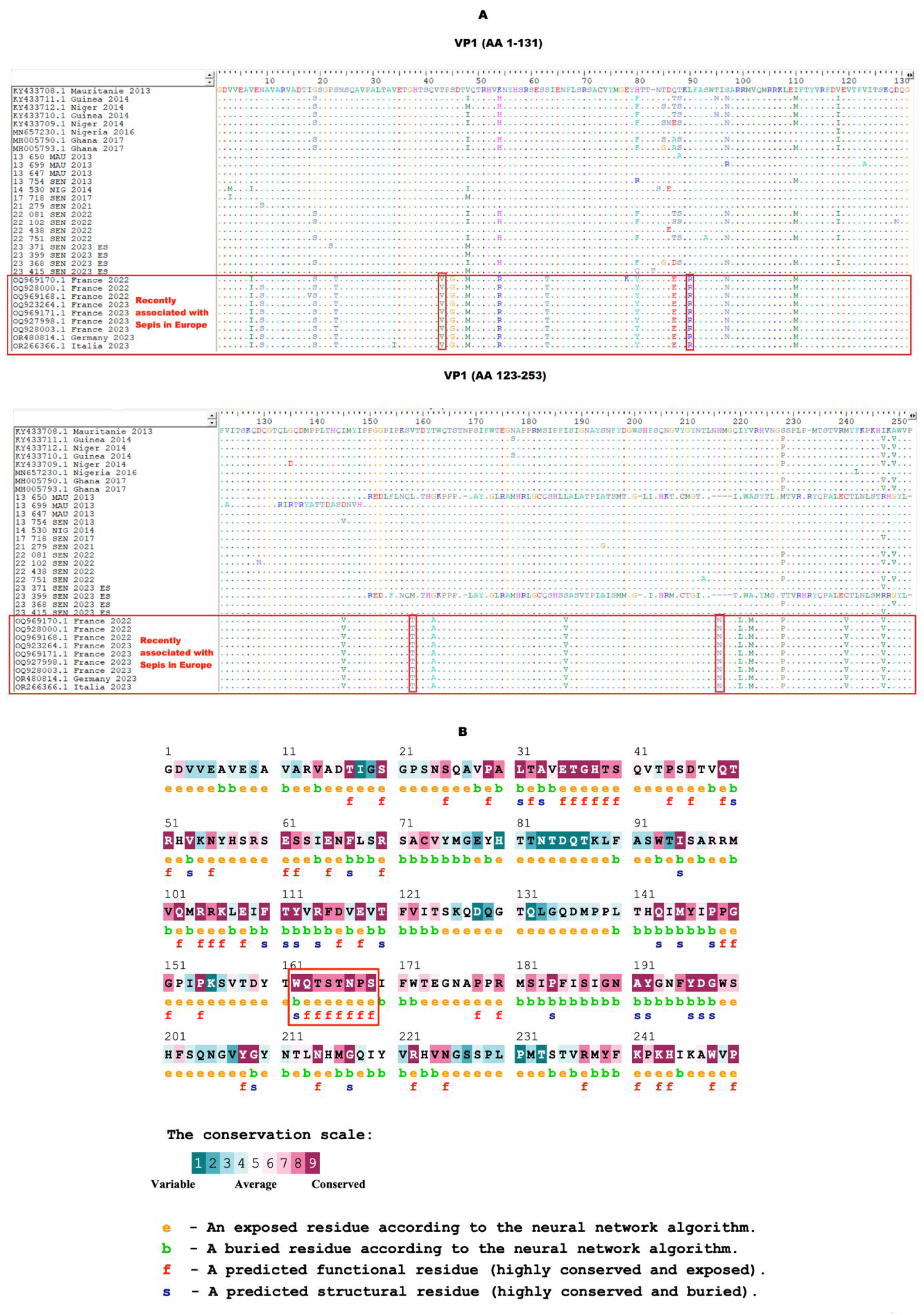 Viruses 16 01772 g004