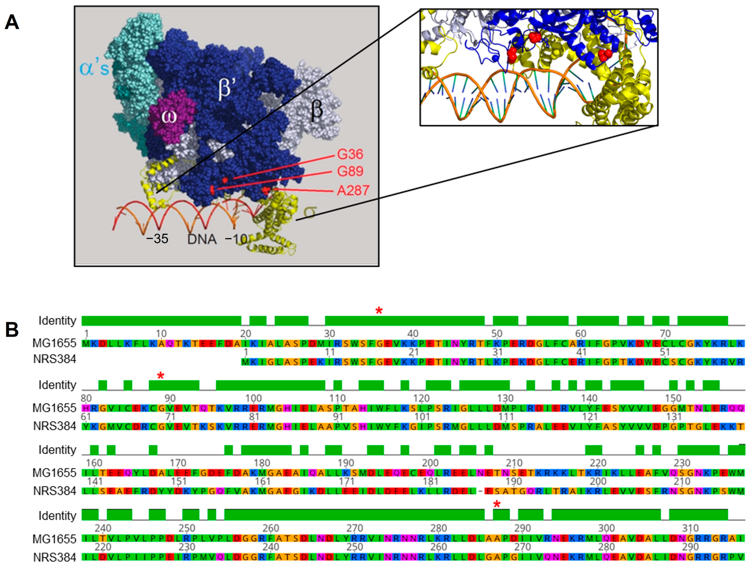 Viruses 16 01773 g002 Viruses 16 01773 g002