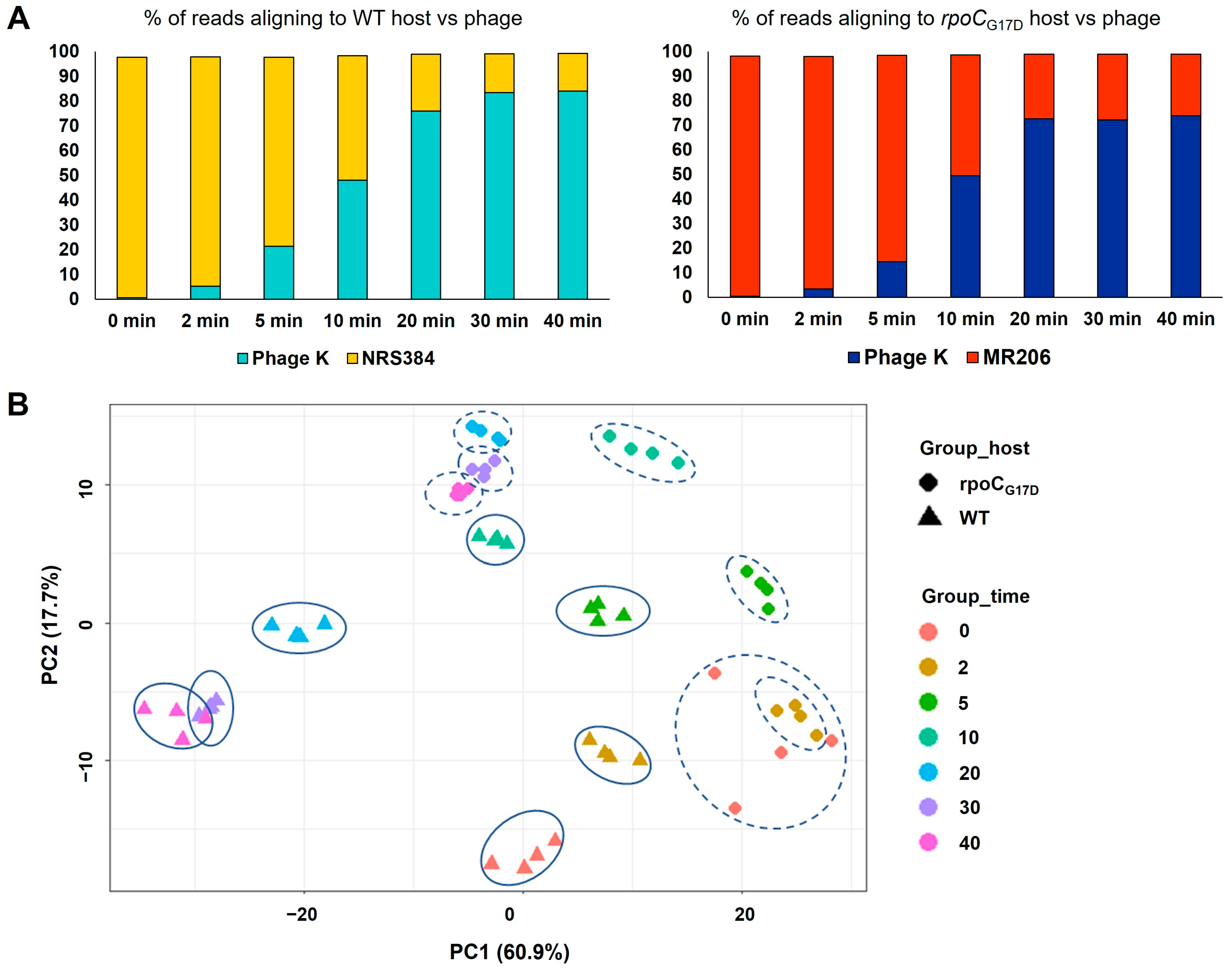 Viruses 16 01773 g003 Viruses 16 01773 g003