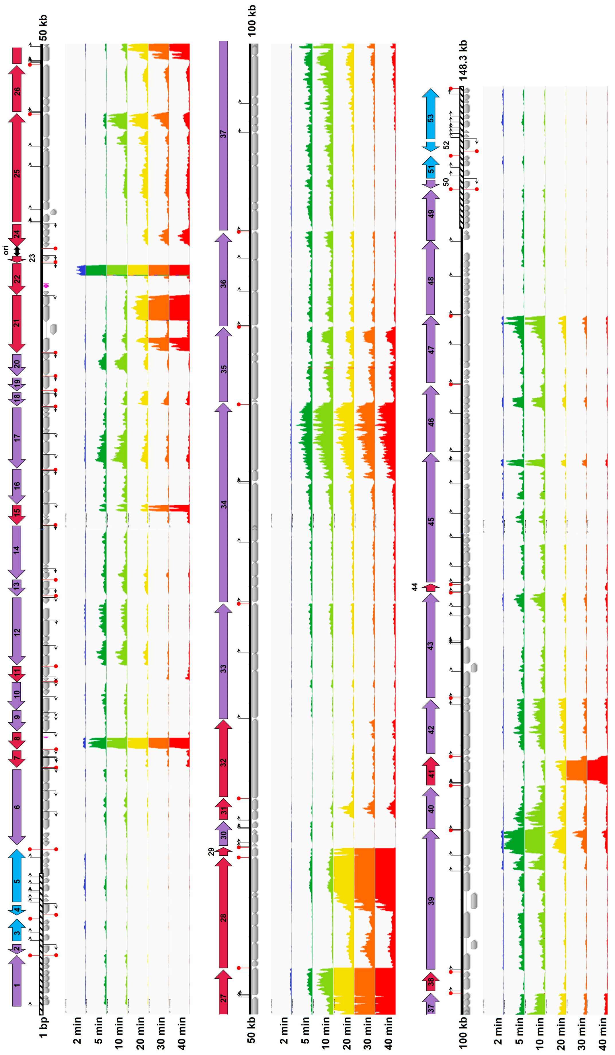 Viruses 16 01773 g004 Viruses 16 01773 g004