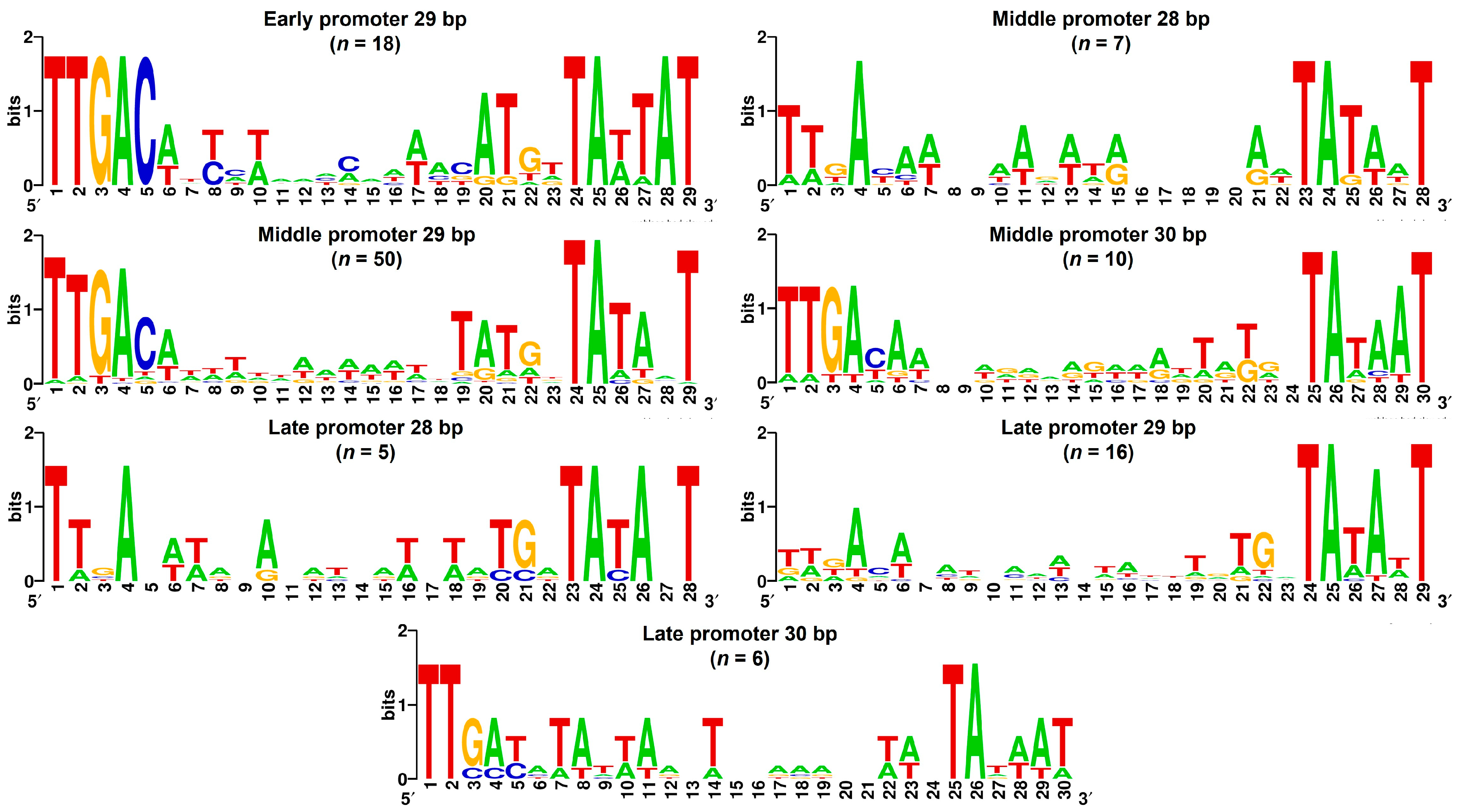 Viruses 16 01773 g005 Viruses 16 01773 g005