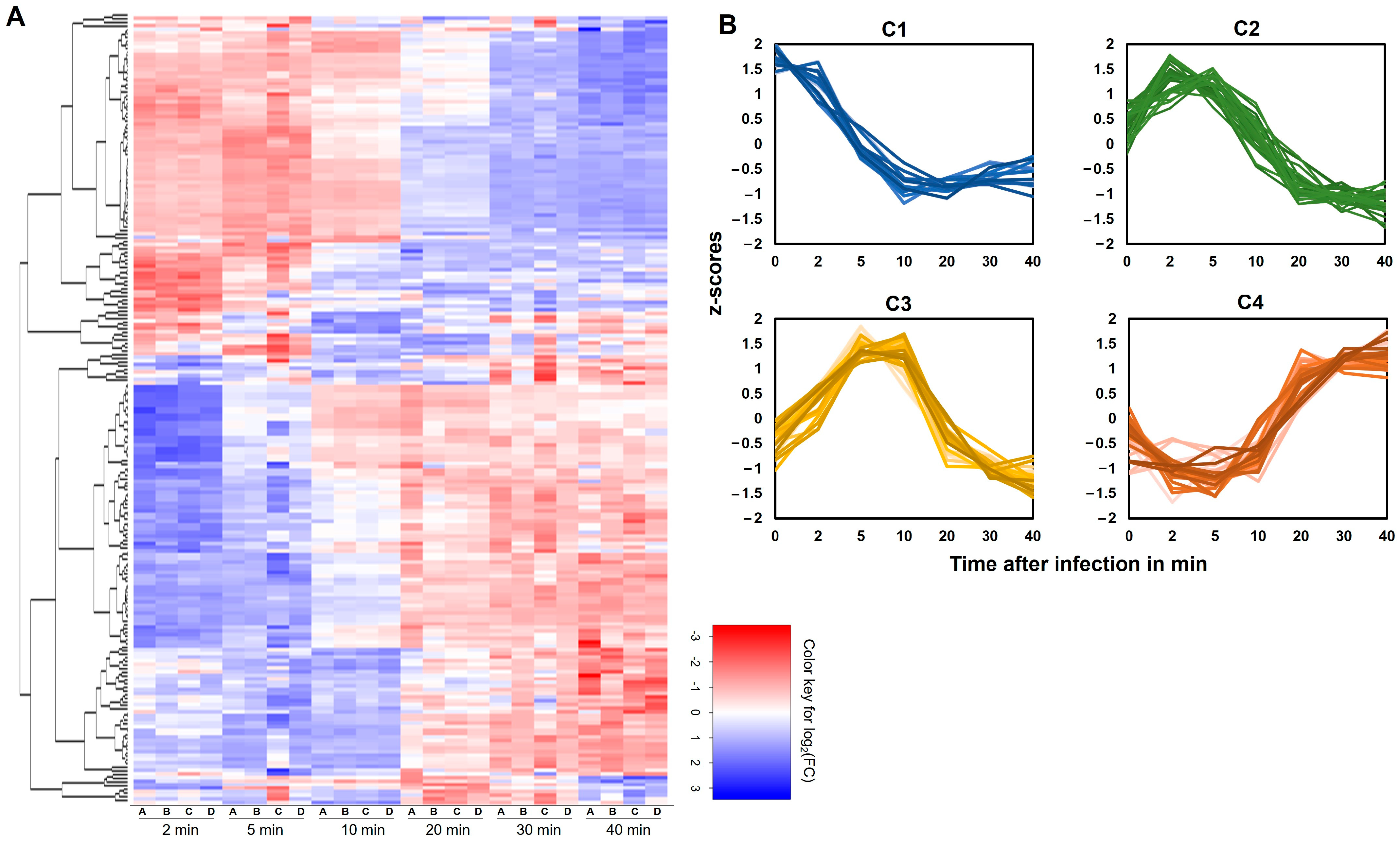 Viruses 16 01773 g006 Viruses 16 01773 g006