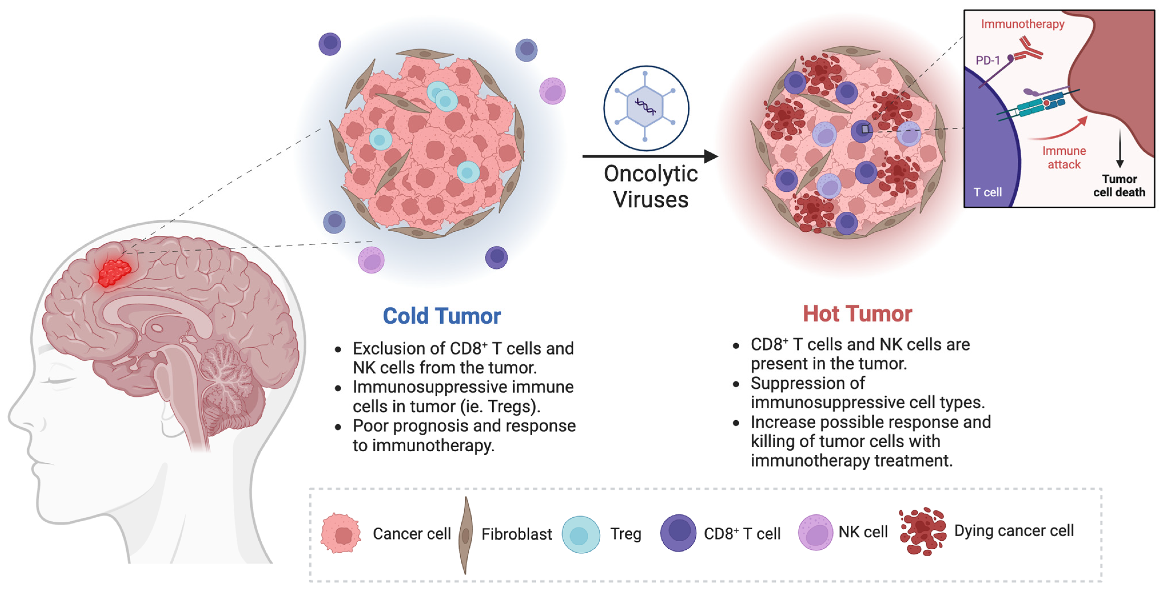 Viruses 16 01775 g001