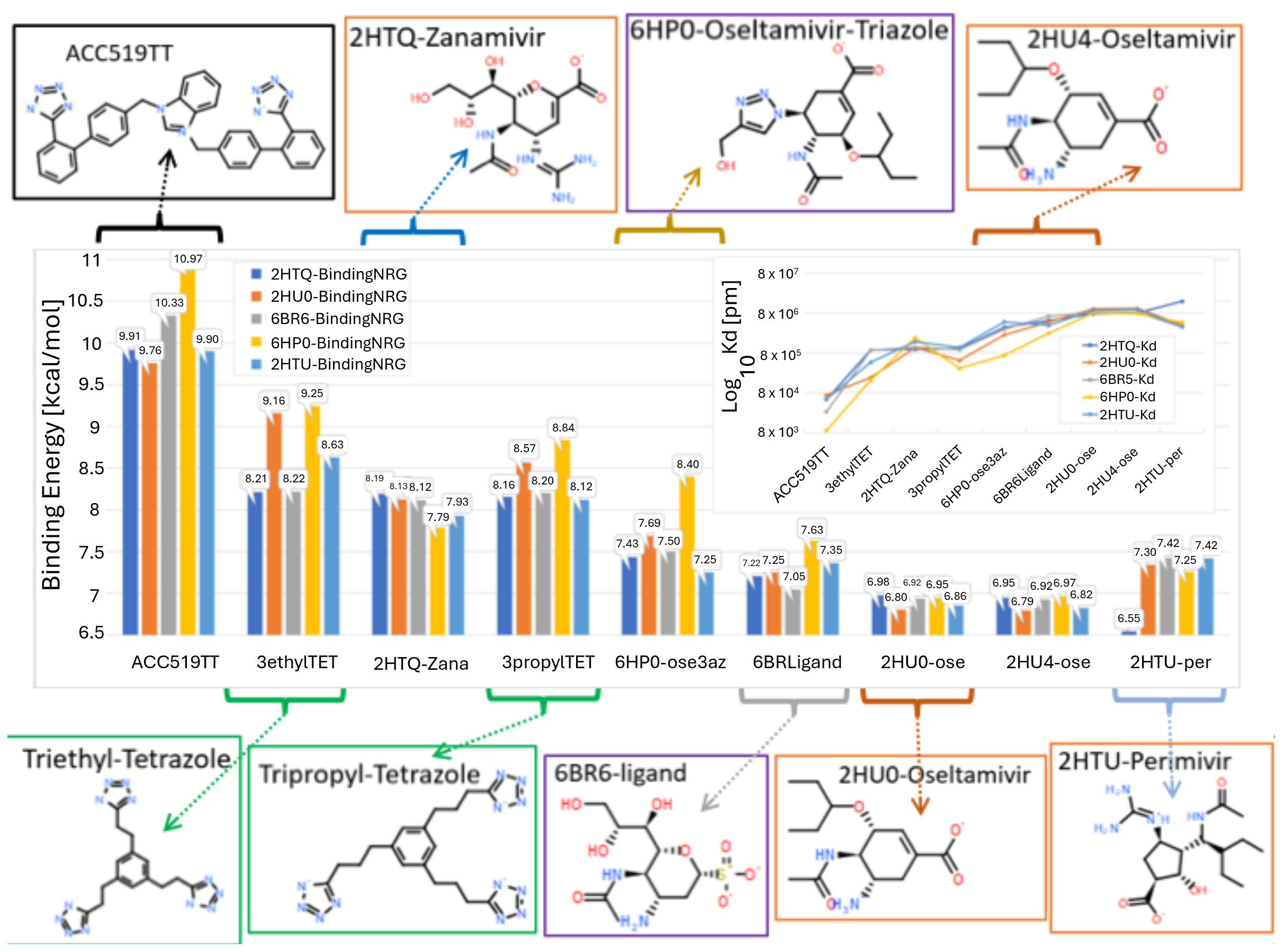 Viruses 16 01776 g005