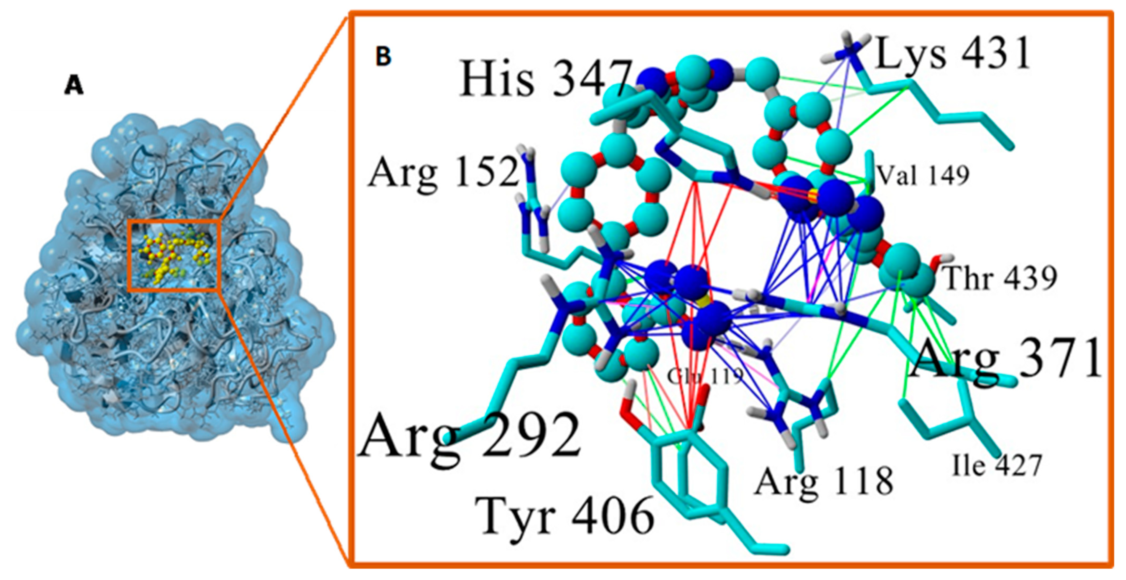 Viruses 16 01776 g008