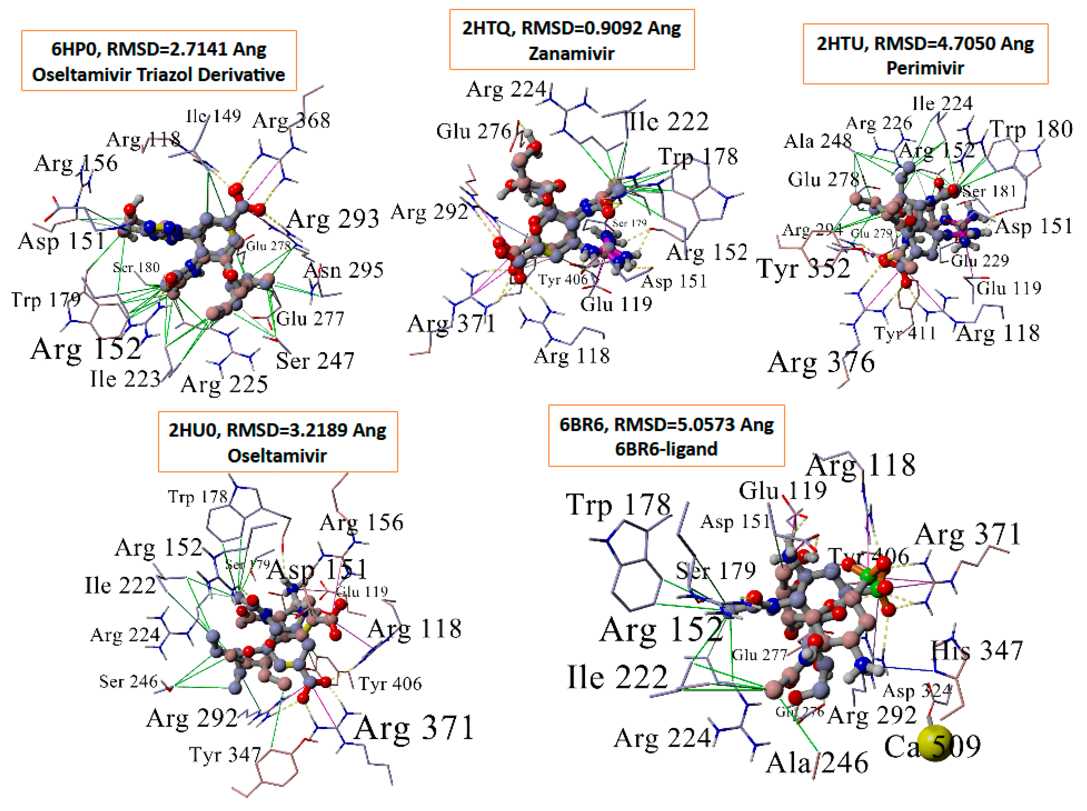 Viruses 16 01776 g009