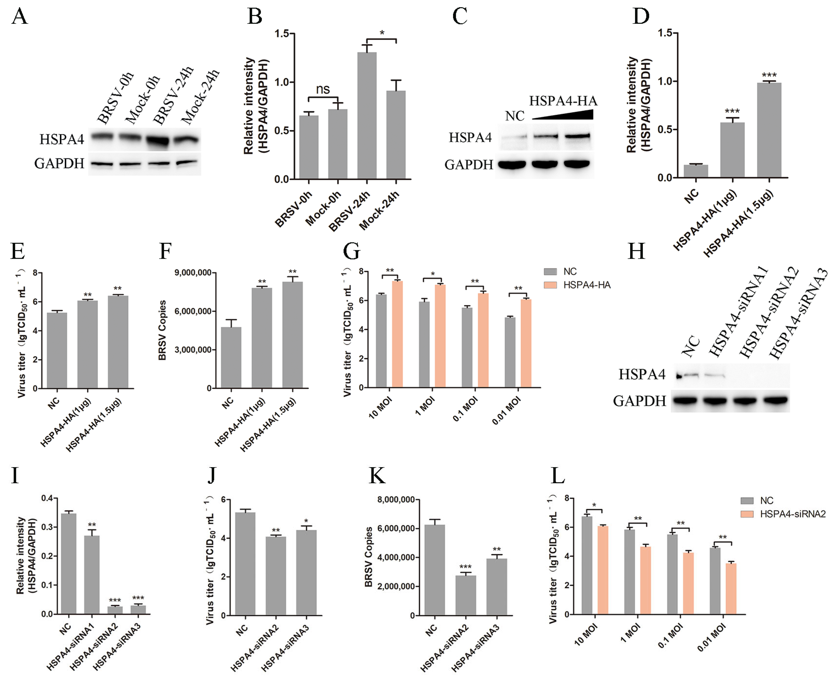 Viruses 16 01784 g001