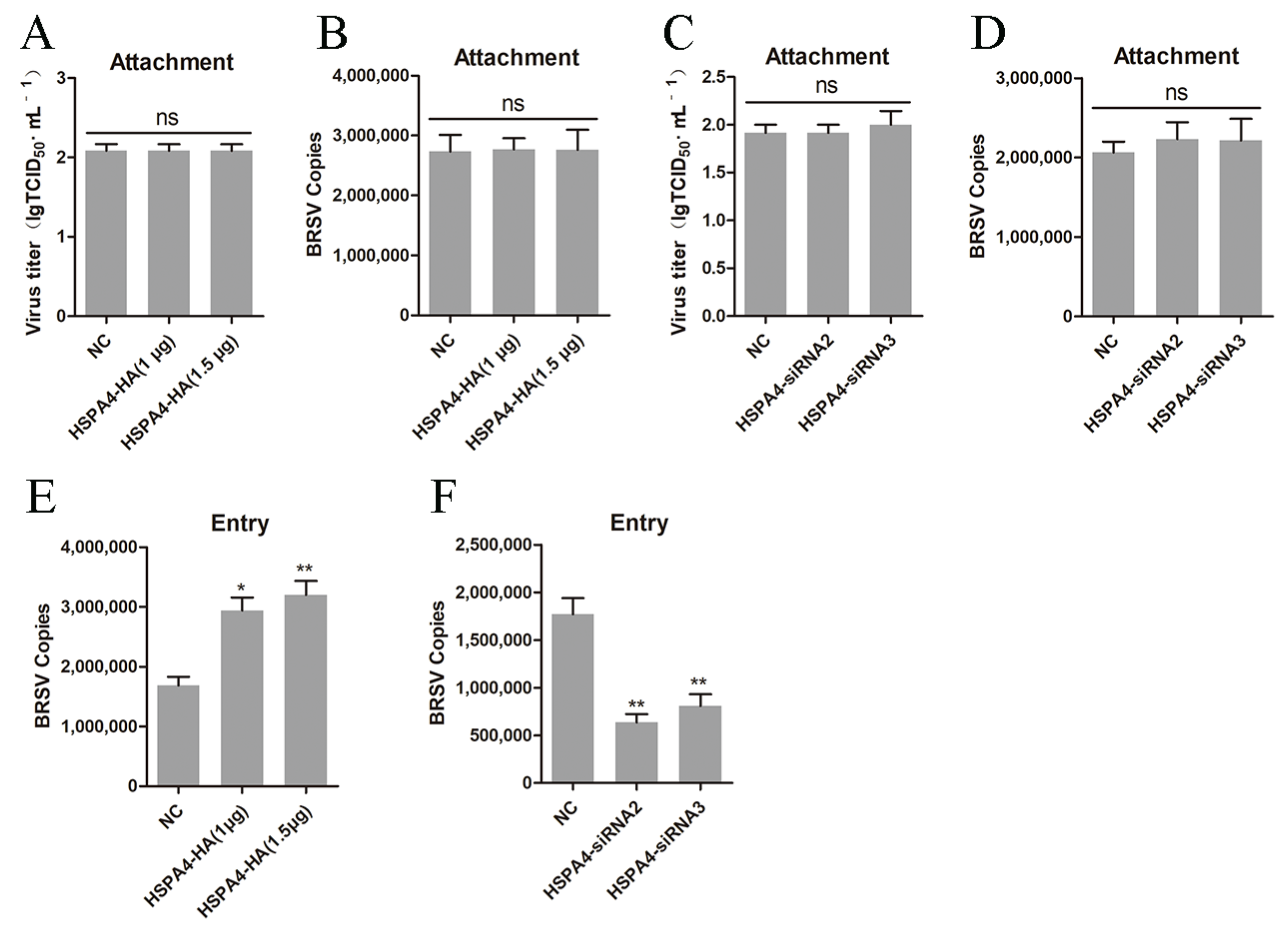 Viruses 16 01784 g002