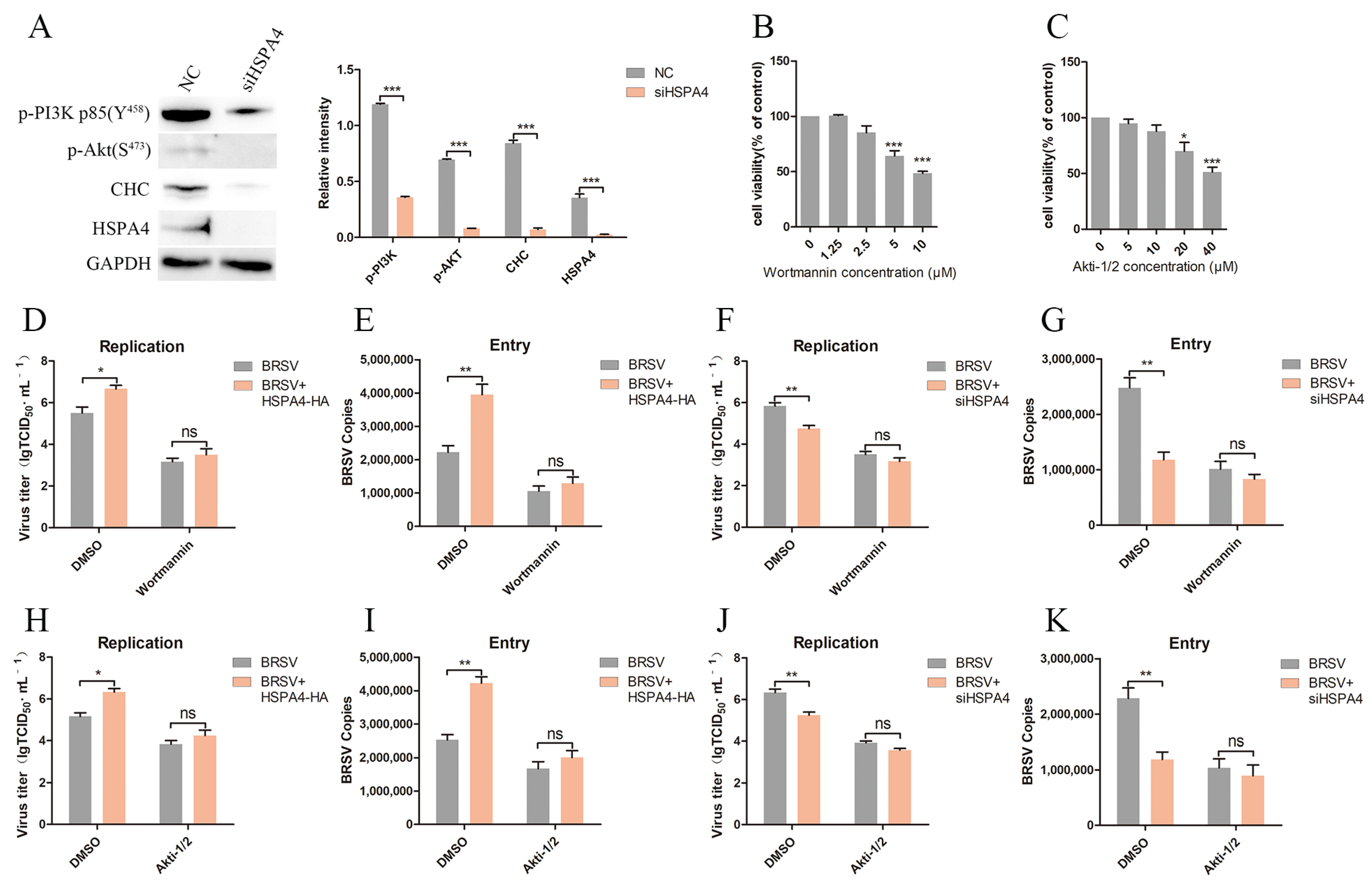 Viruses 16 01784 g004