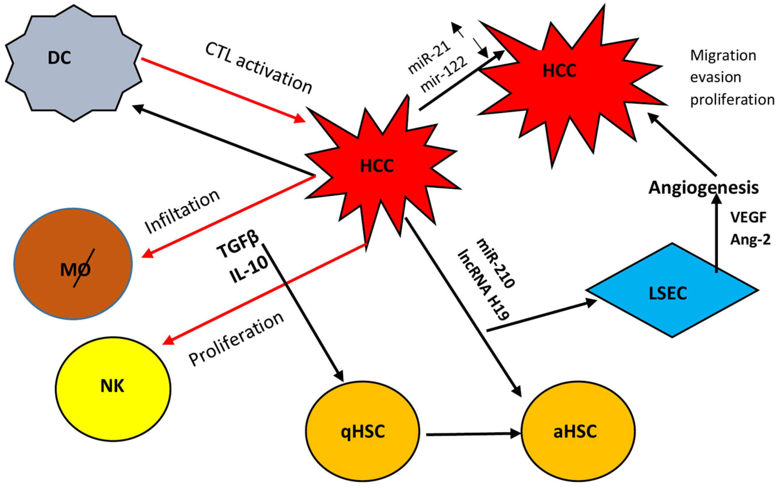 Viruses 16 01785 g002