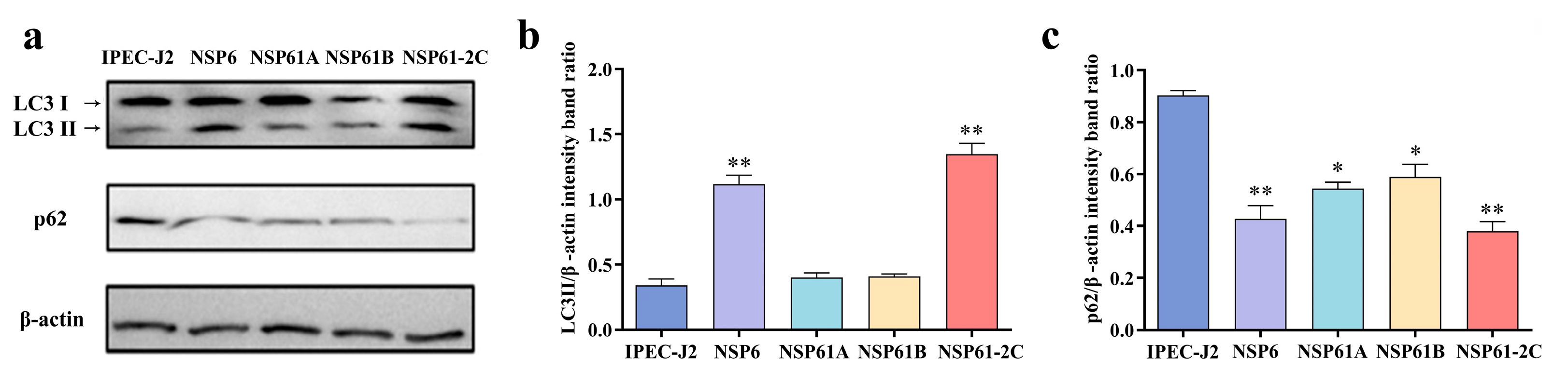 Viruses 16 01787 g010