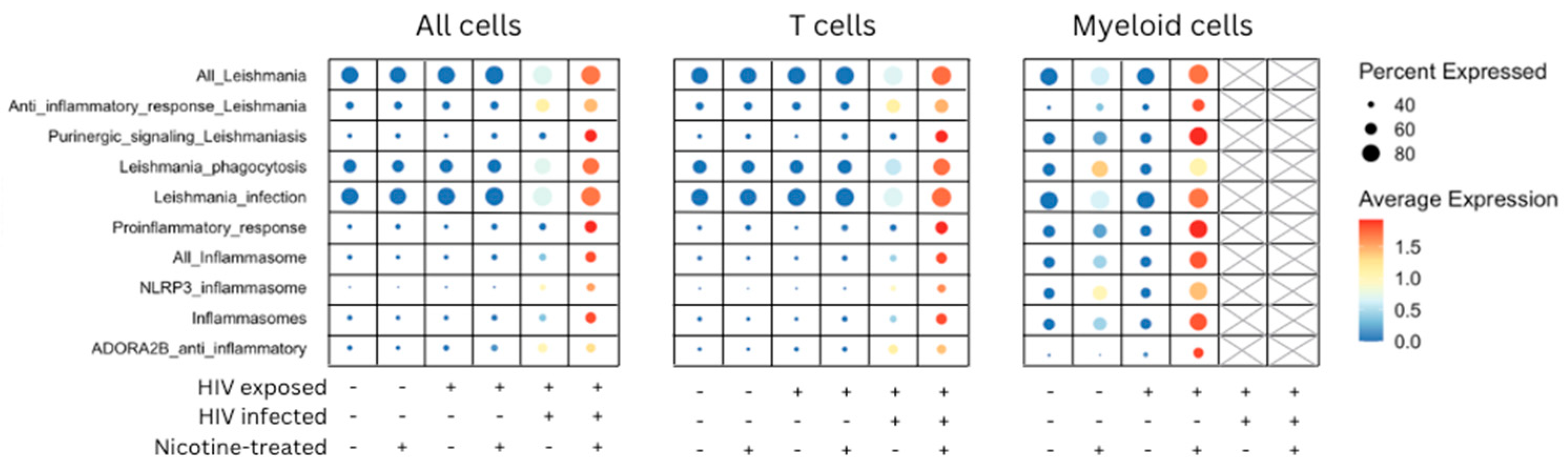 Viruses 16 01797 g003