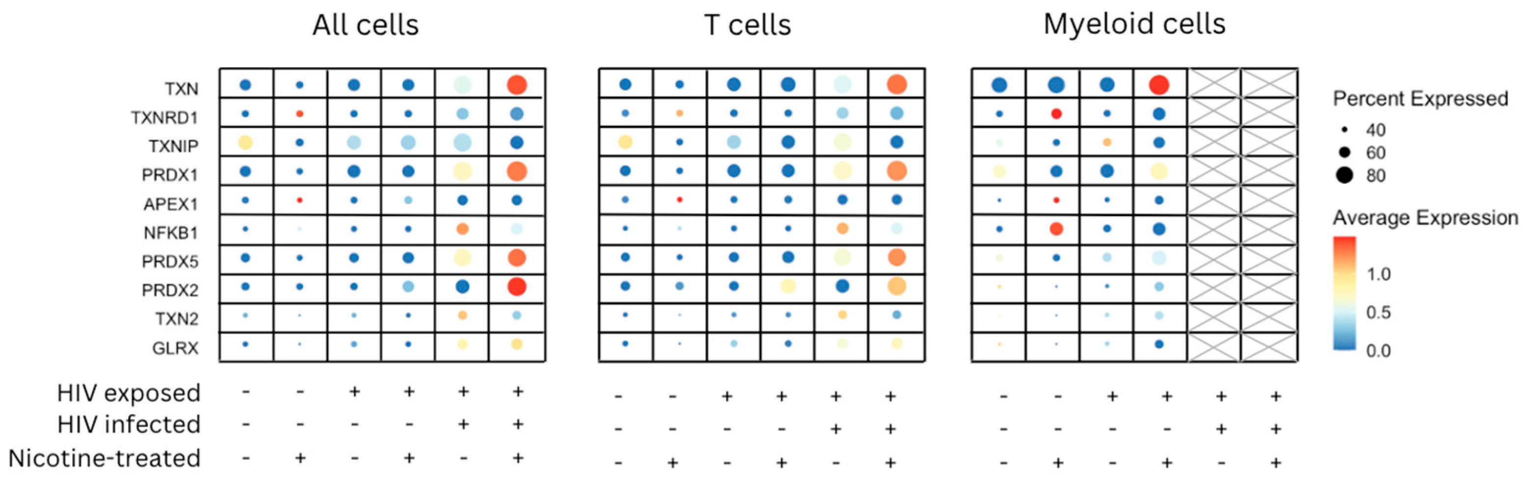 Viruses 16 01797 g005