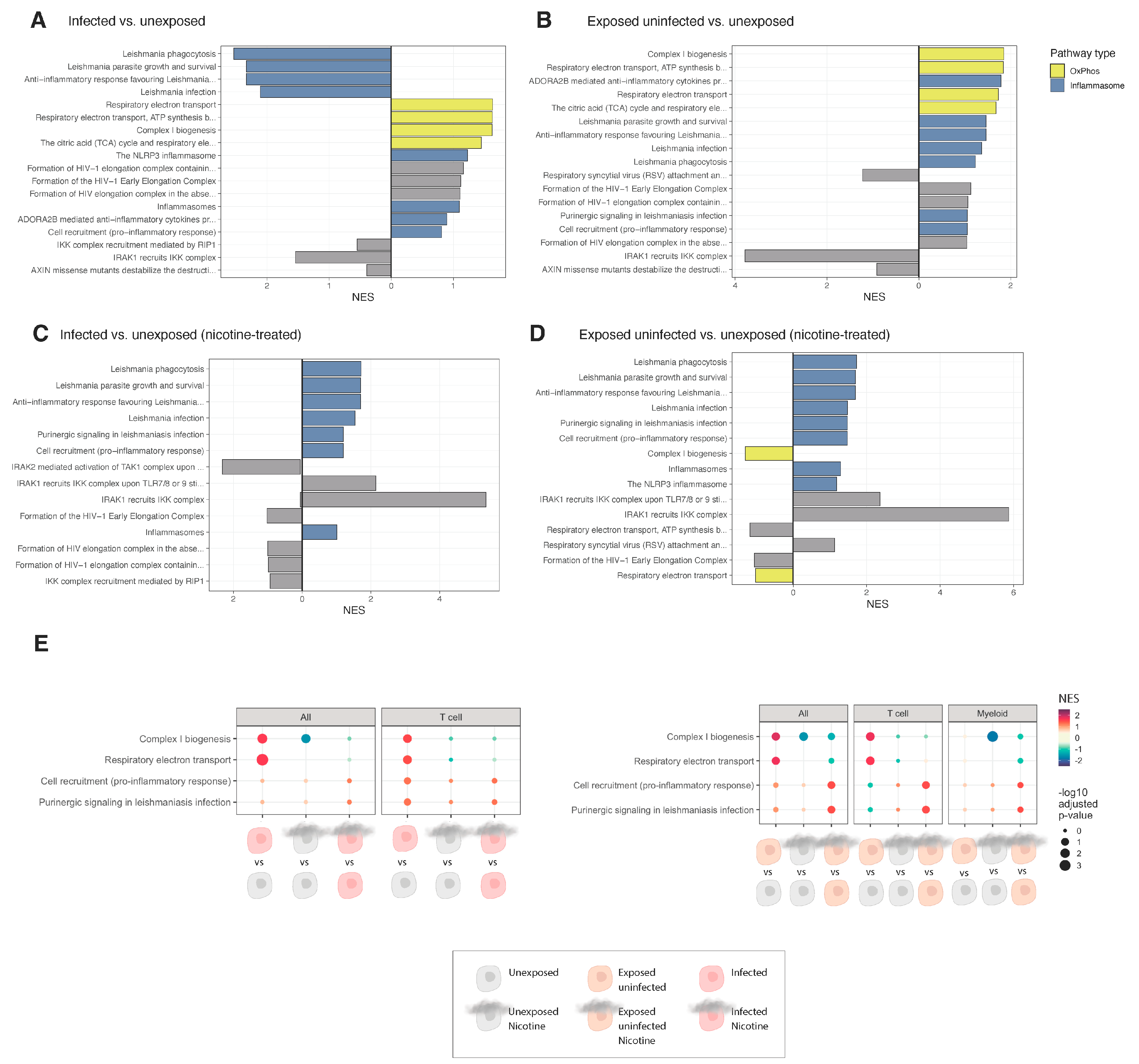 Viruses 16 01797 g006