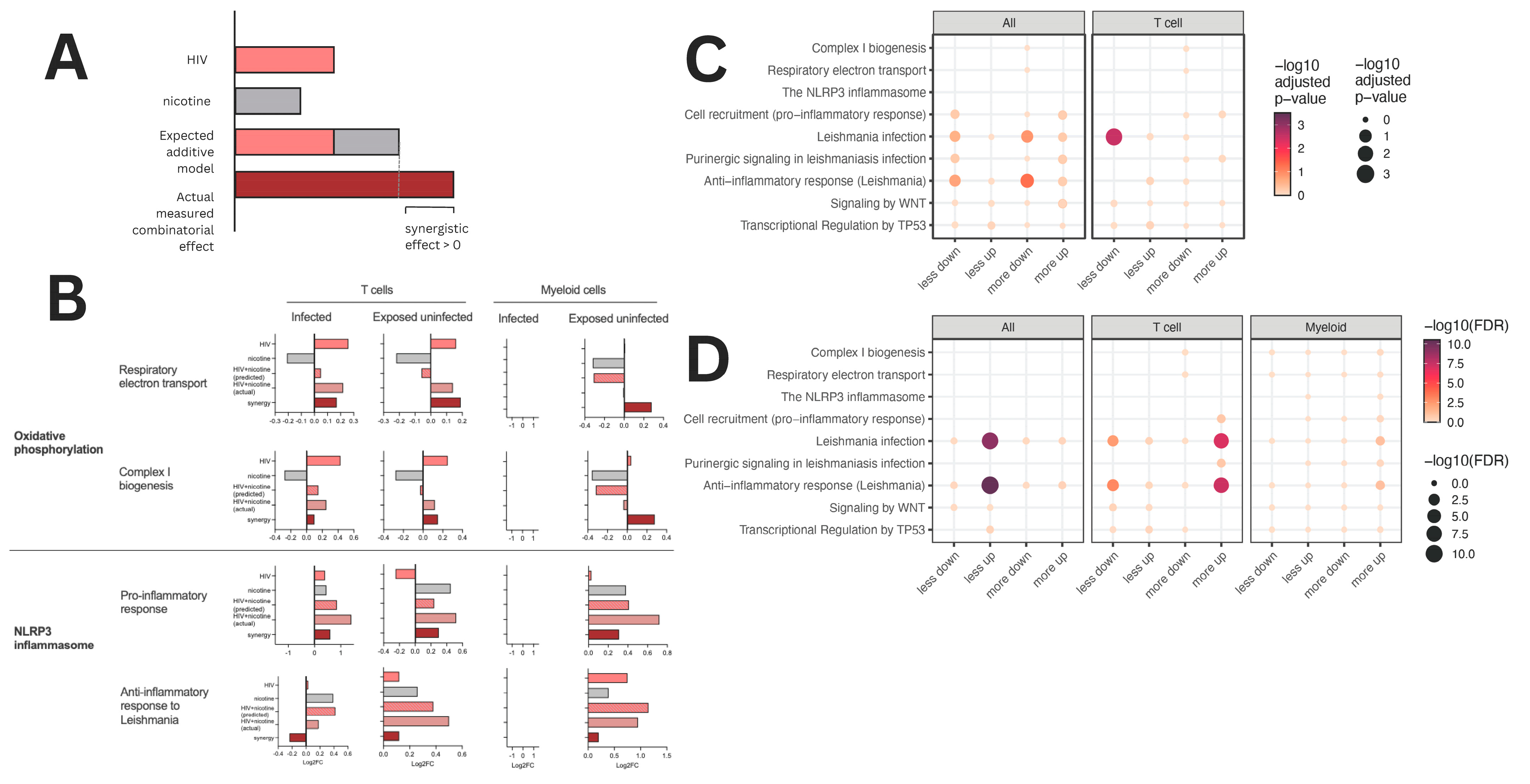 Viruses 16 01797 g007