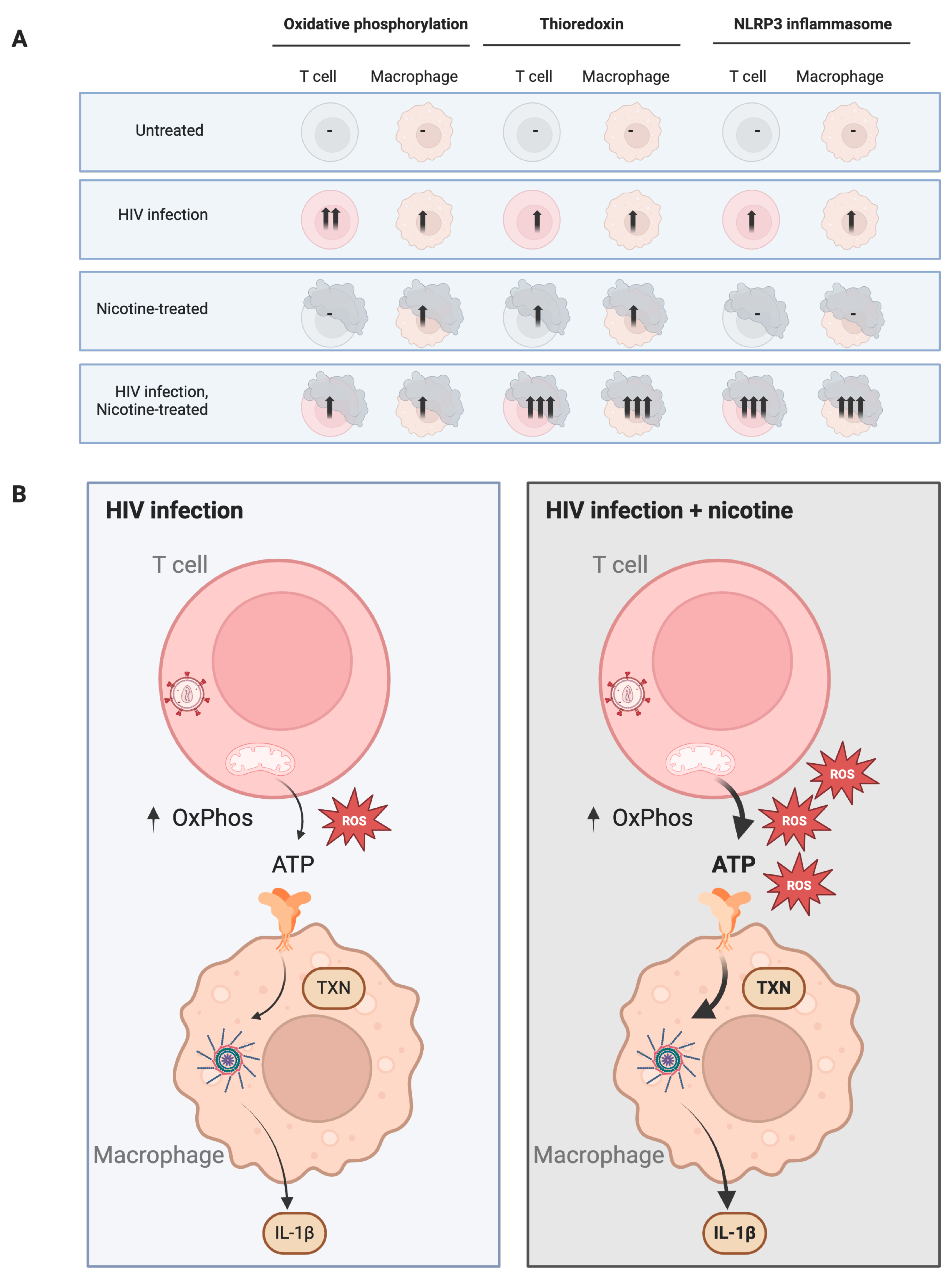 Viruses 16 01797 g008