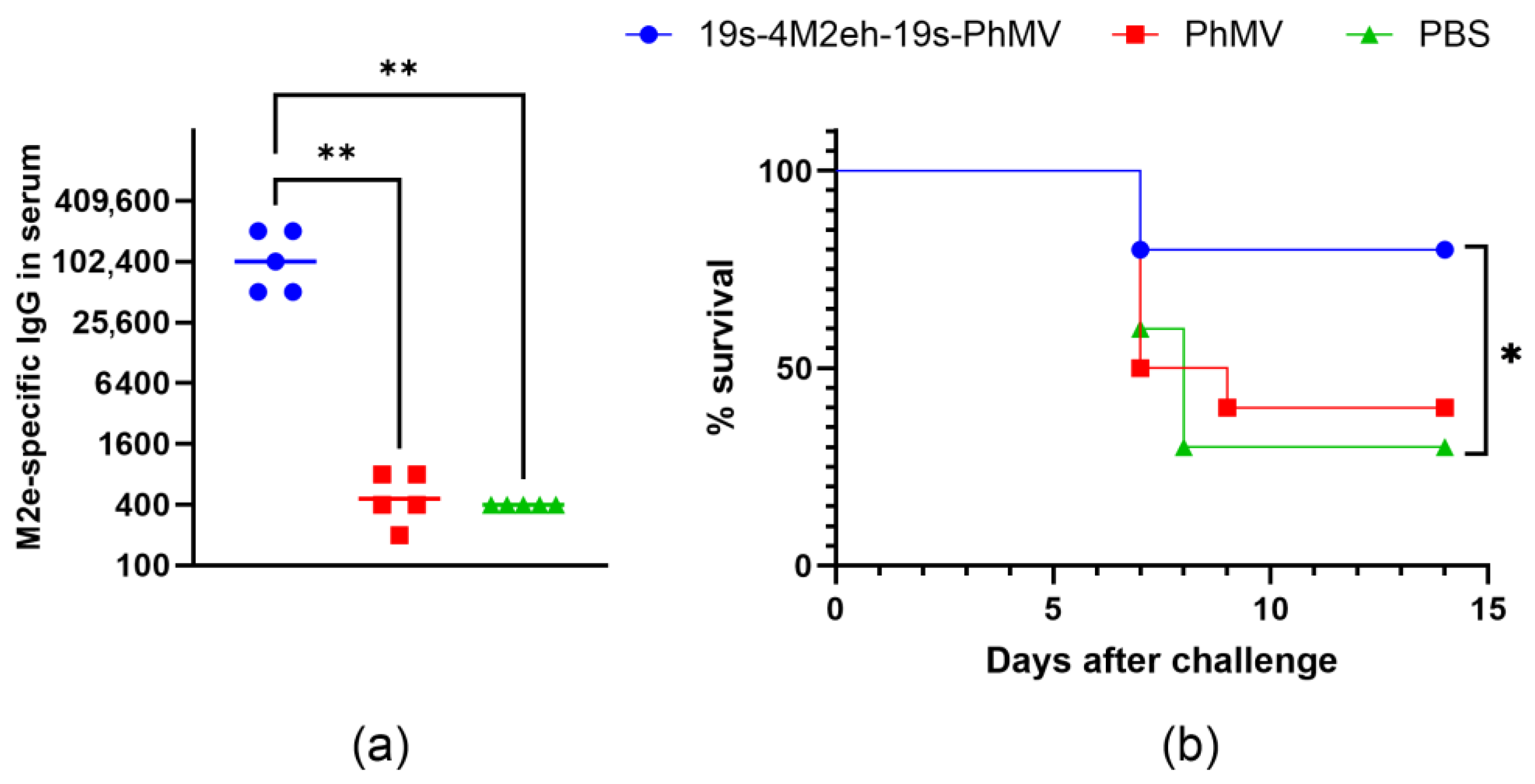 Viruses 16 01802 g006