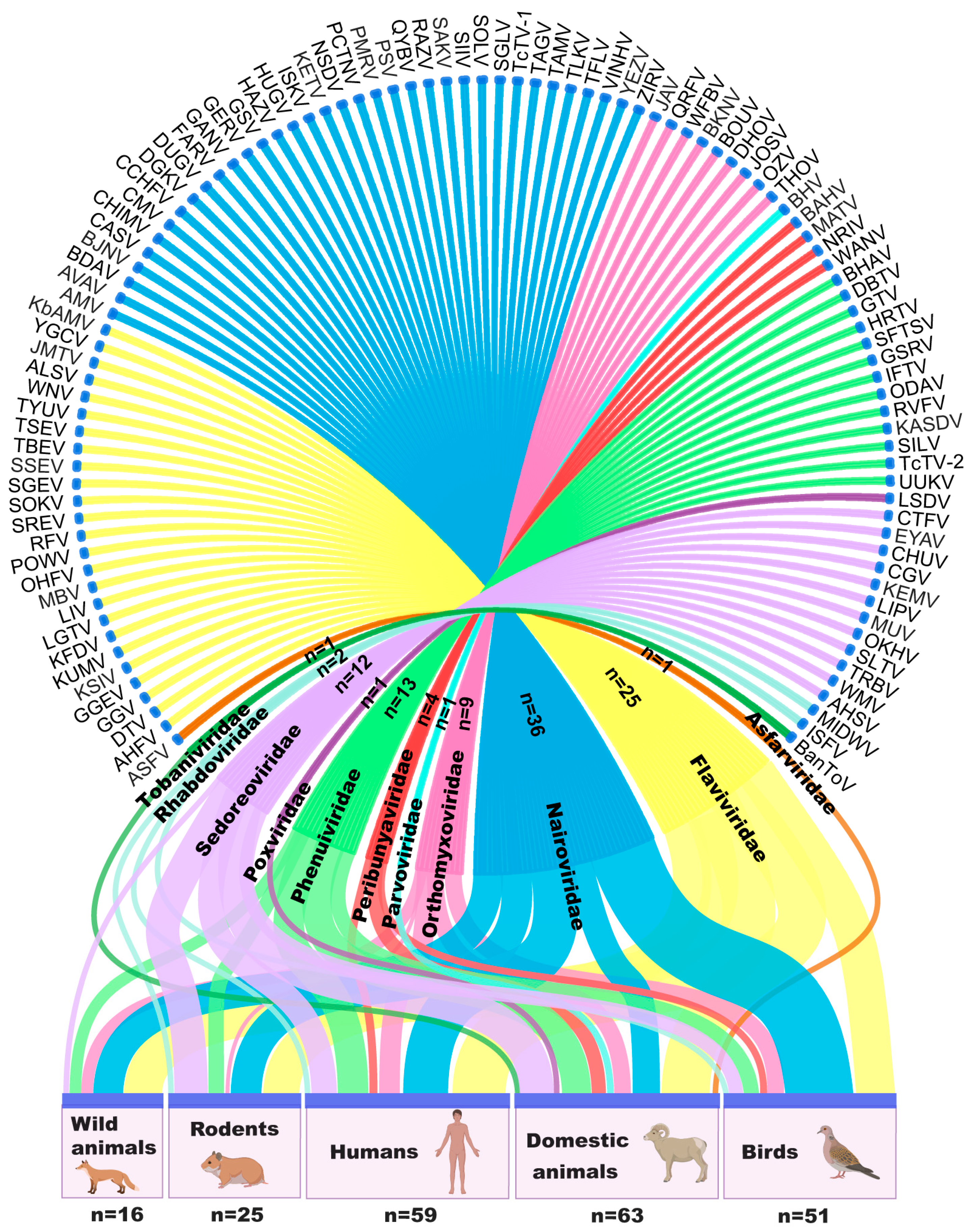 Viruses 16 01807 g004
