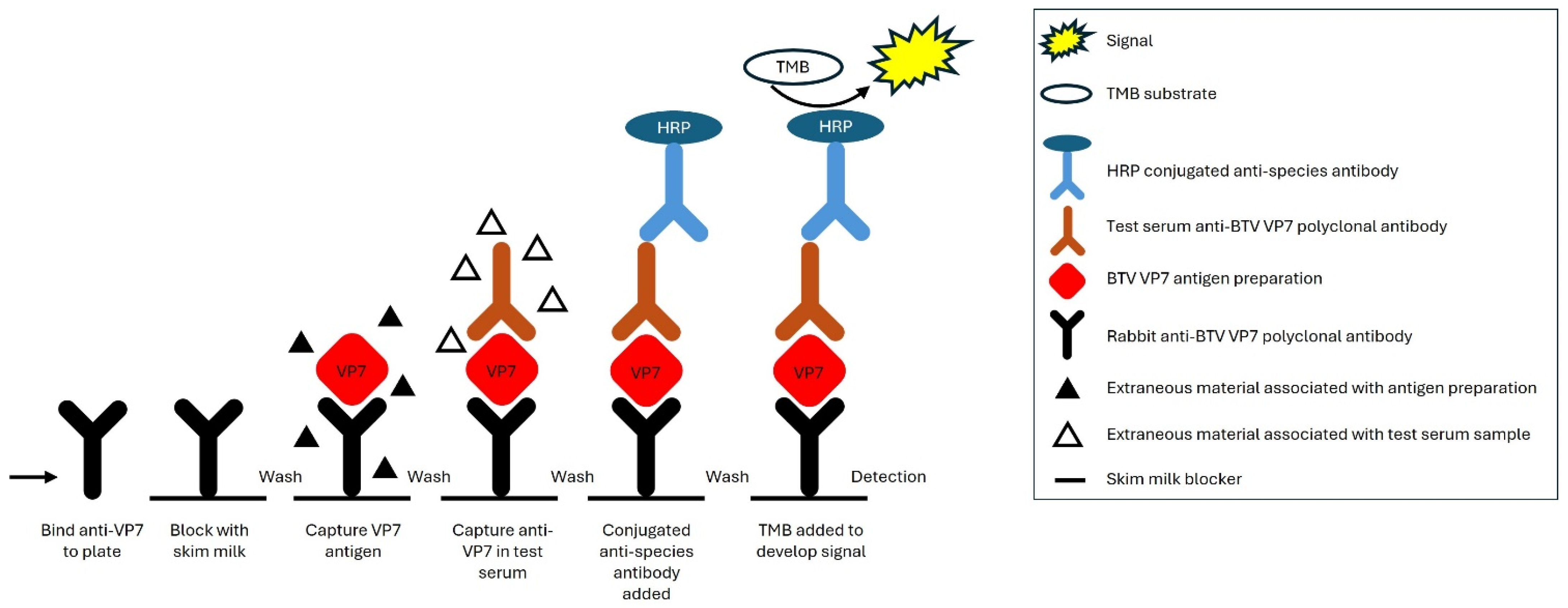 Viruses 16 01810 g001