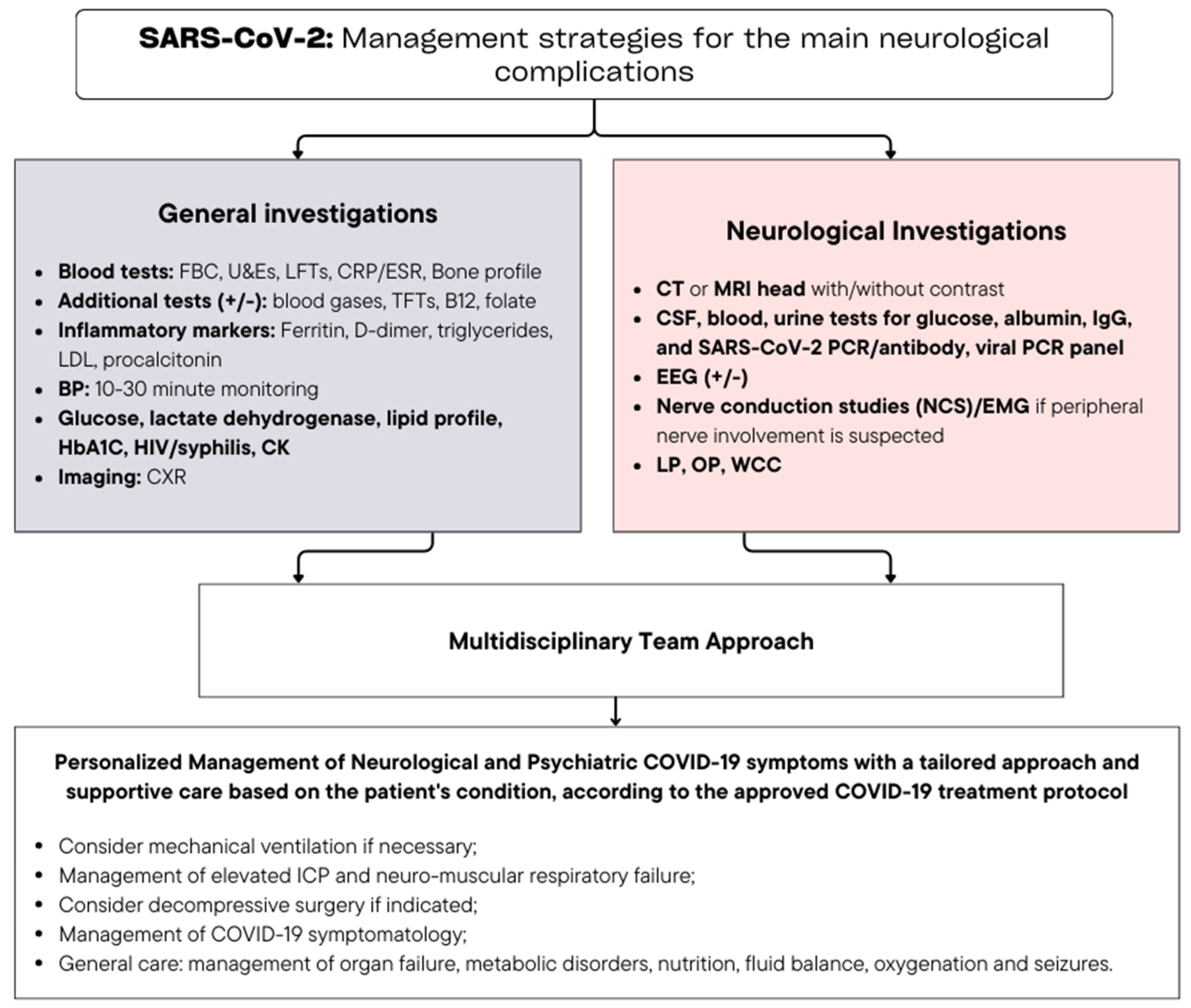 Viruses 16 01811 g005