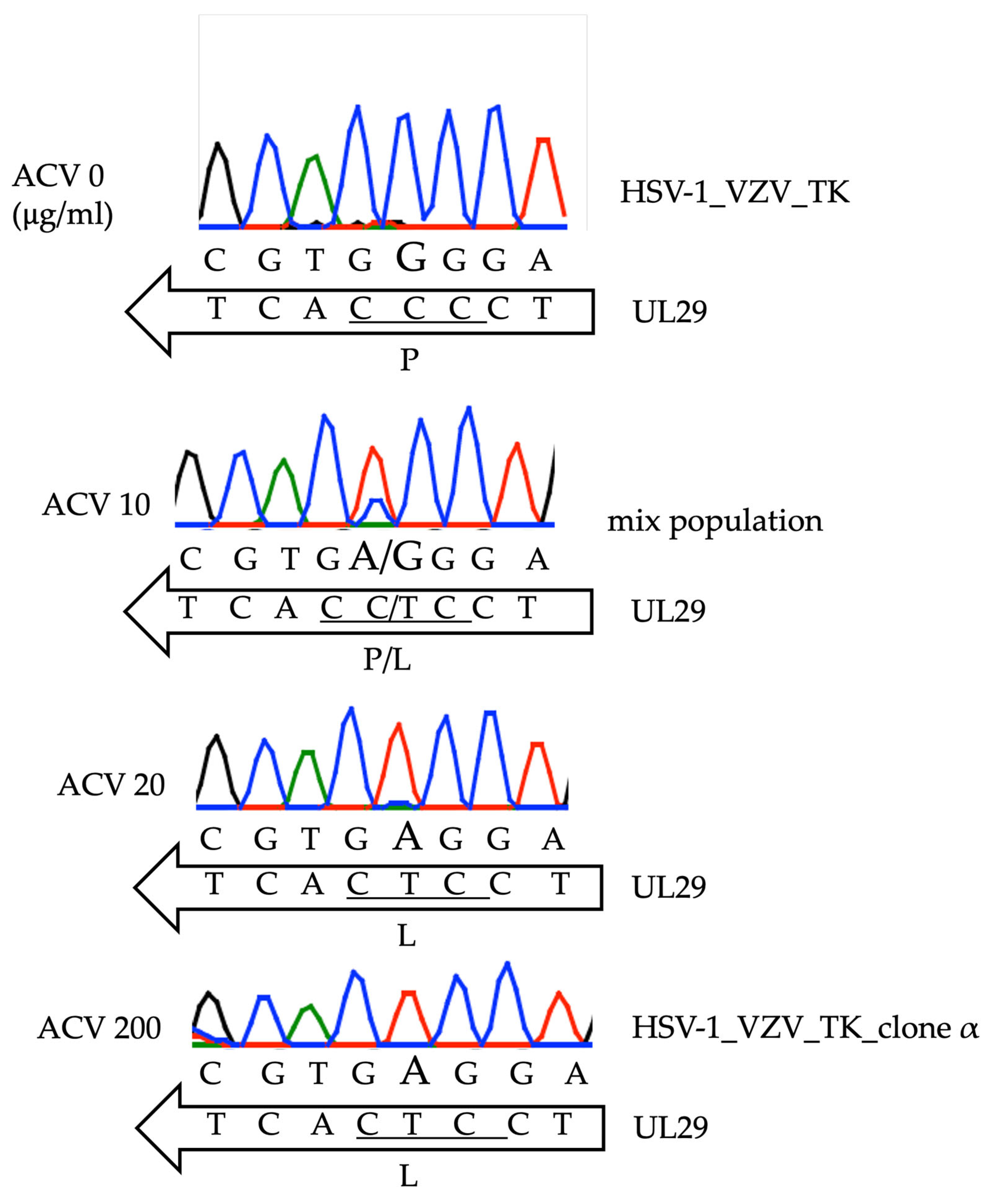 Viruses 16 01813 g001
