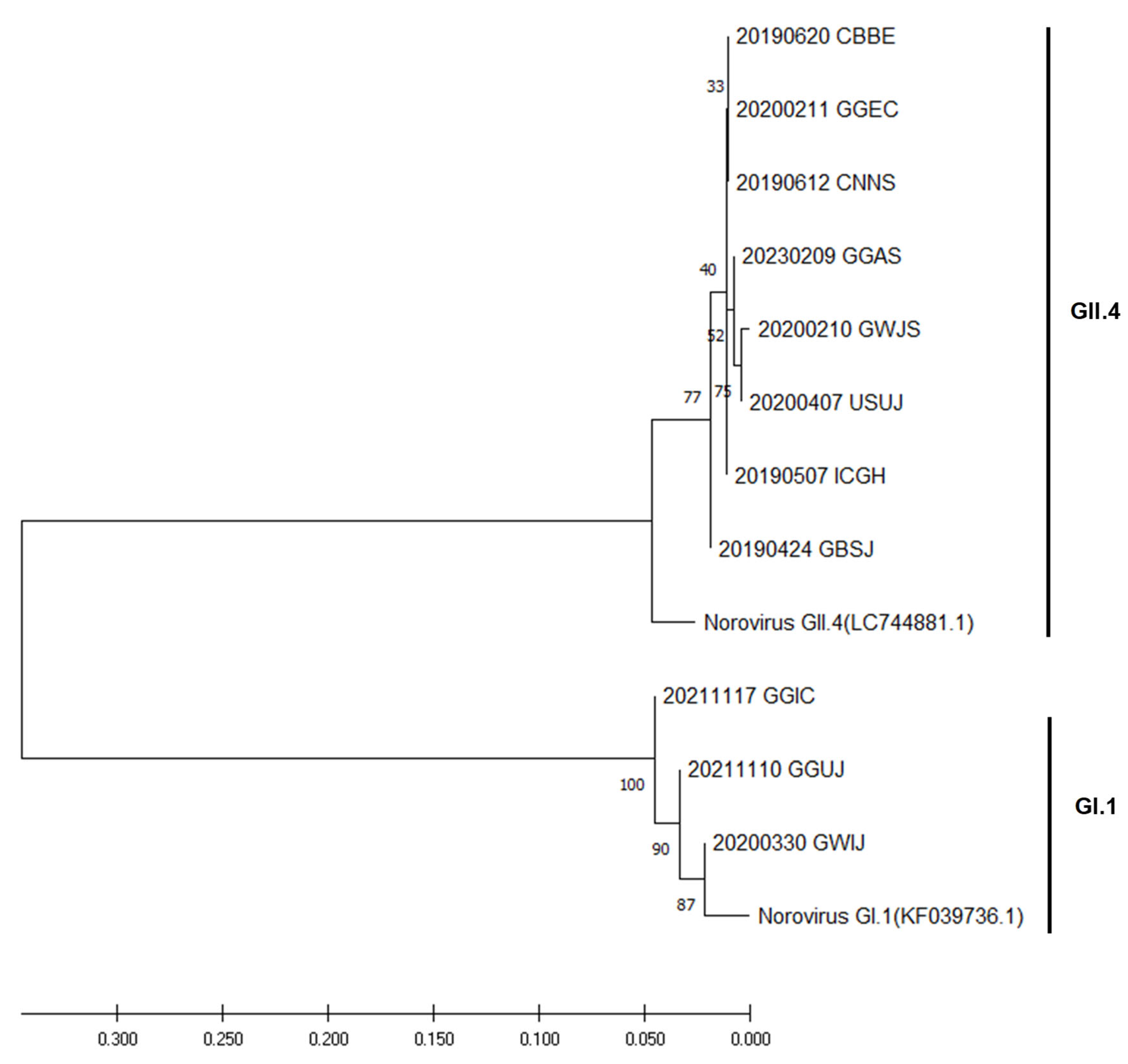 Viruses 16 01814 g002