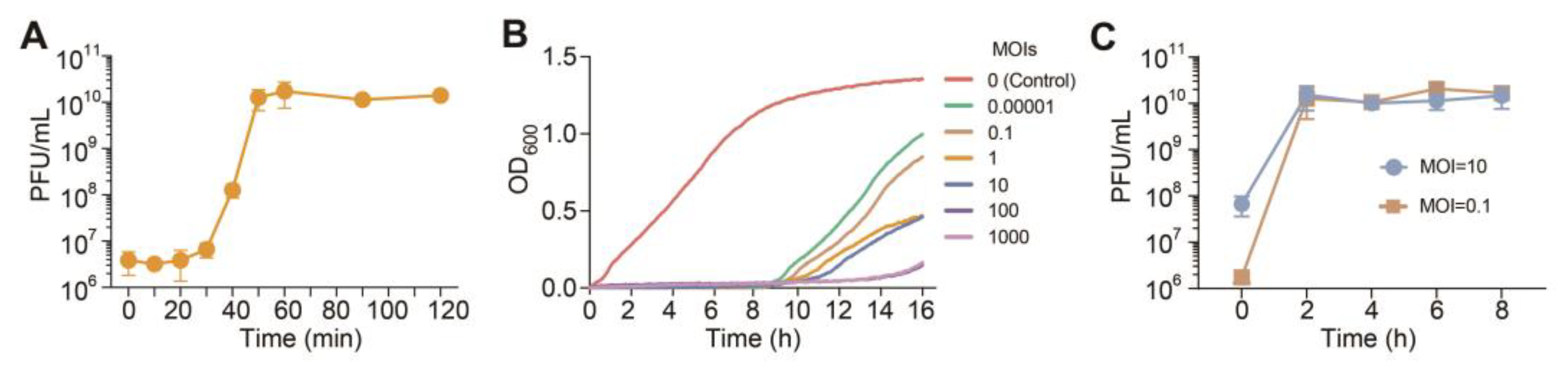 Viruses 16 01816 g002